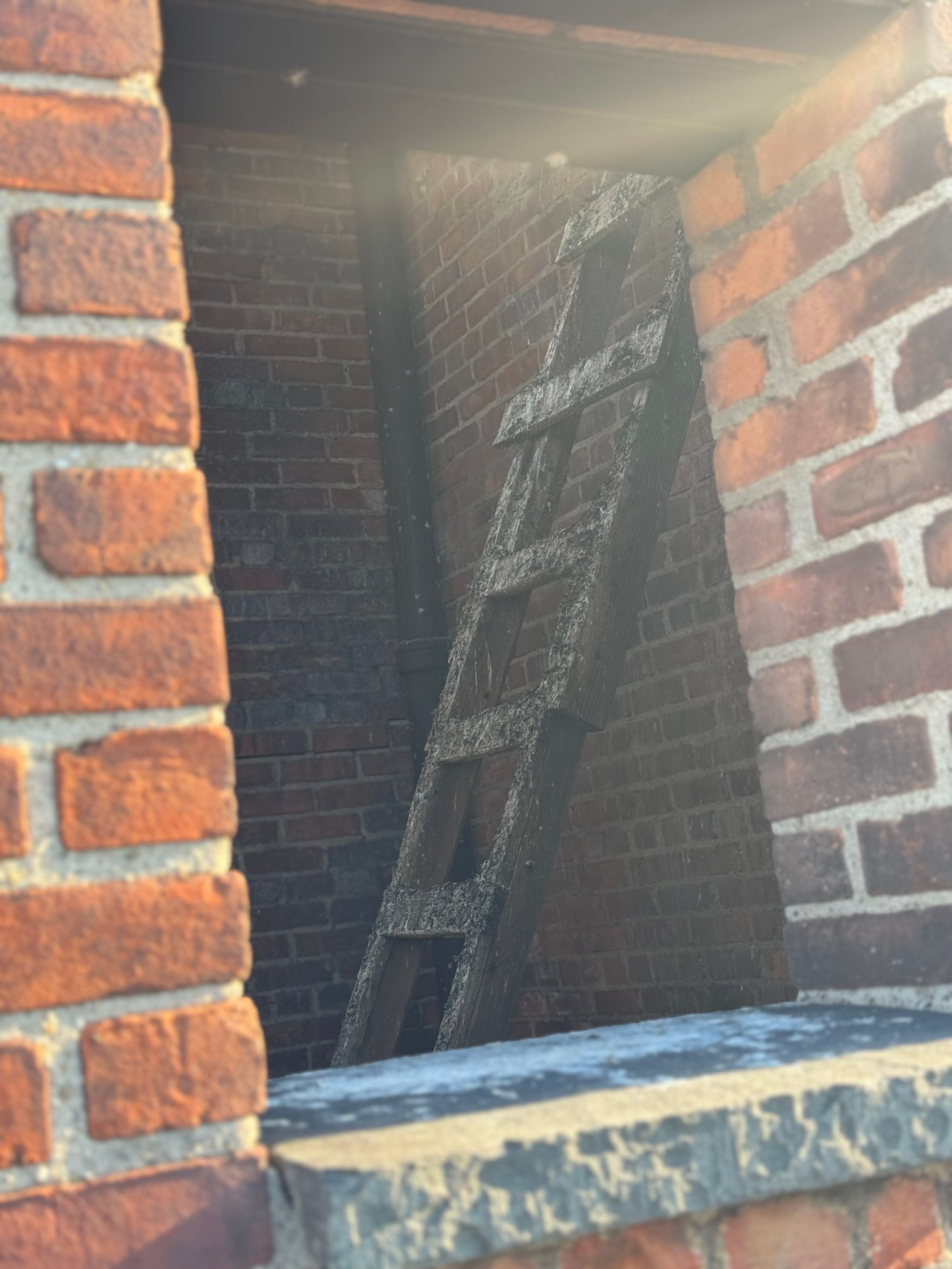 Bell Tower Discovery! by Above All Gutters 