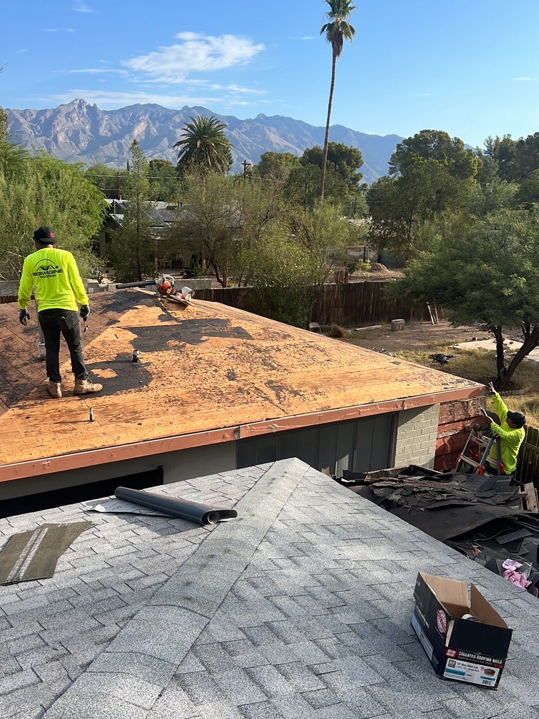 Silver Birch Shingles by Reimagine Roofing