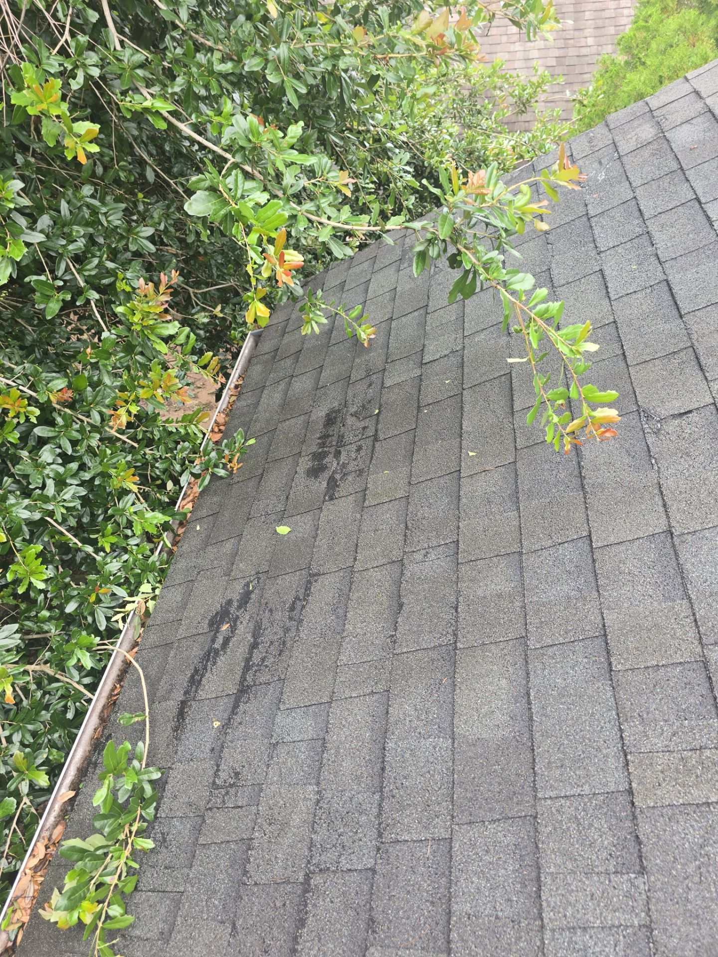 Roof Repair Houston by Roof Repair Company