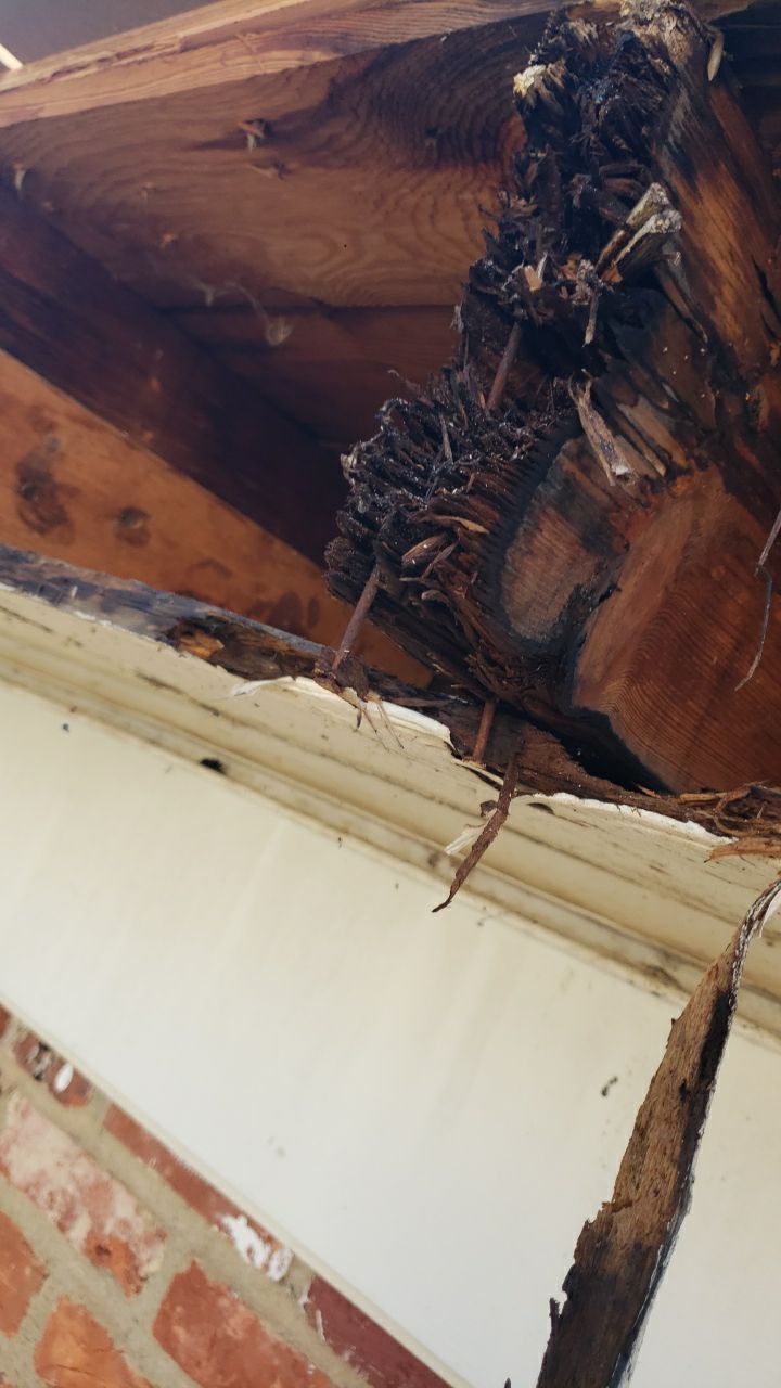 Arlington: CertainTeed Landmark Pro Designer Shingles in Max Def Burnt Sienna by RM Banning, Inc.