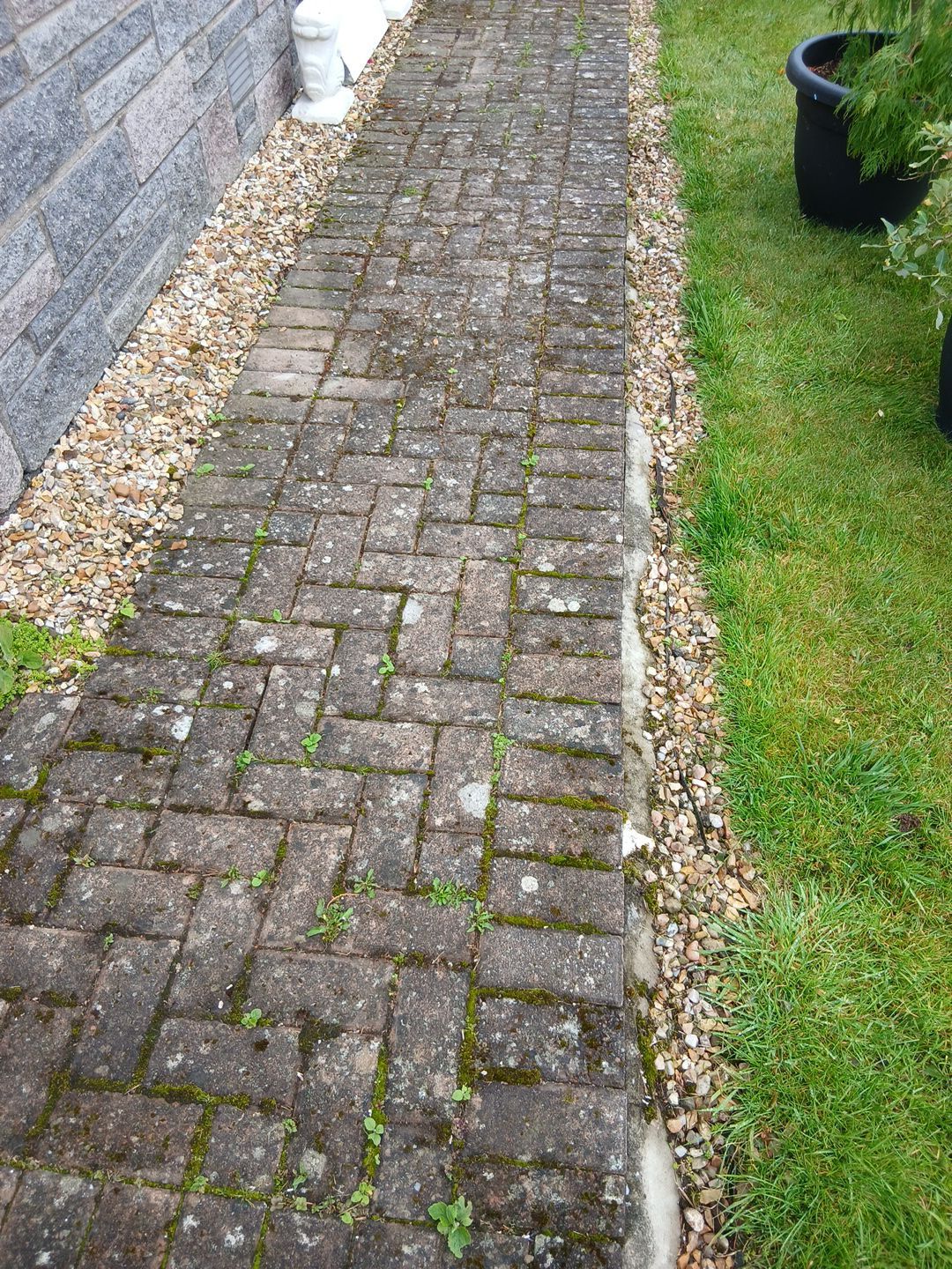 Jetwash in Carluke by EZXCo Ltd