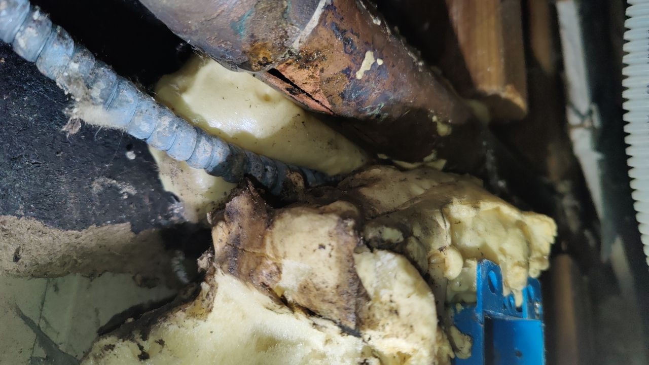 Mold Damage by Accountable Home Services