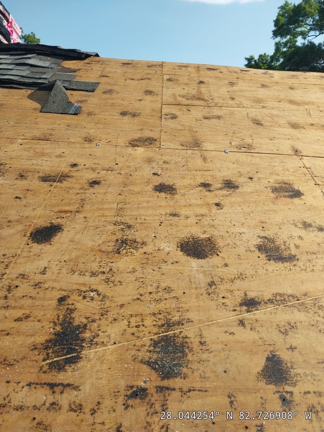 Project in Clearwater 33761 by Mitchell Roofing Company LLC