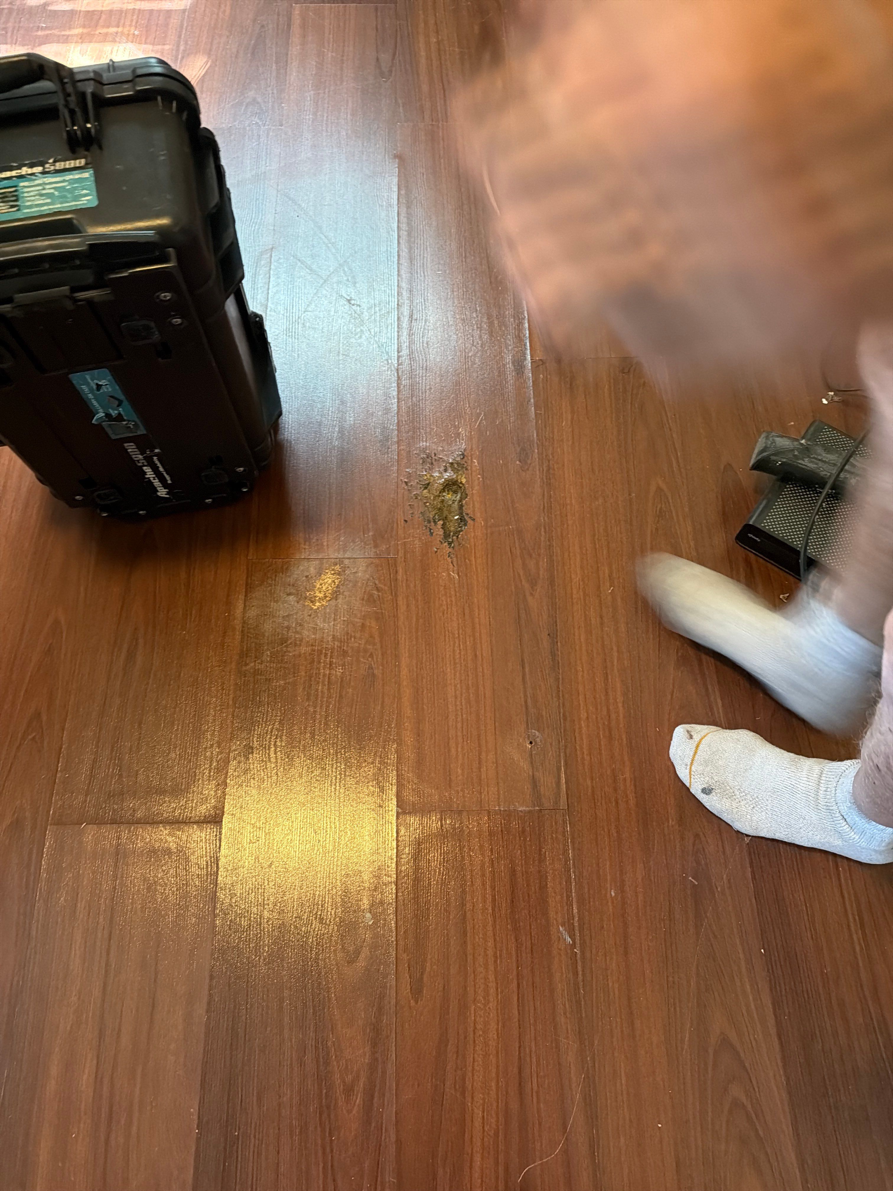 West Palm Beach Mold Remediation and Moisture Assessment by SuperClean