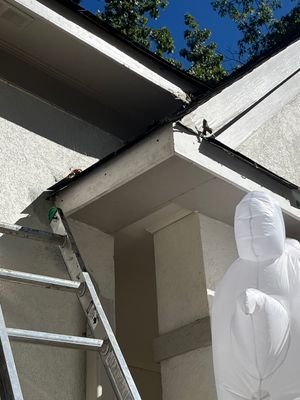 Project in Cumming