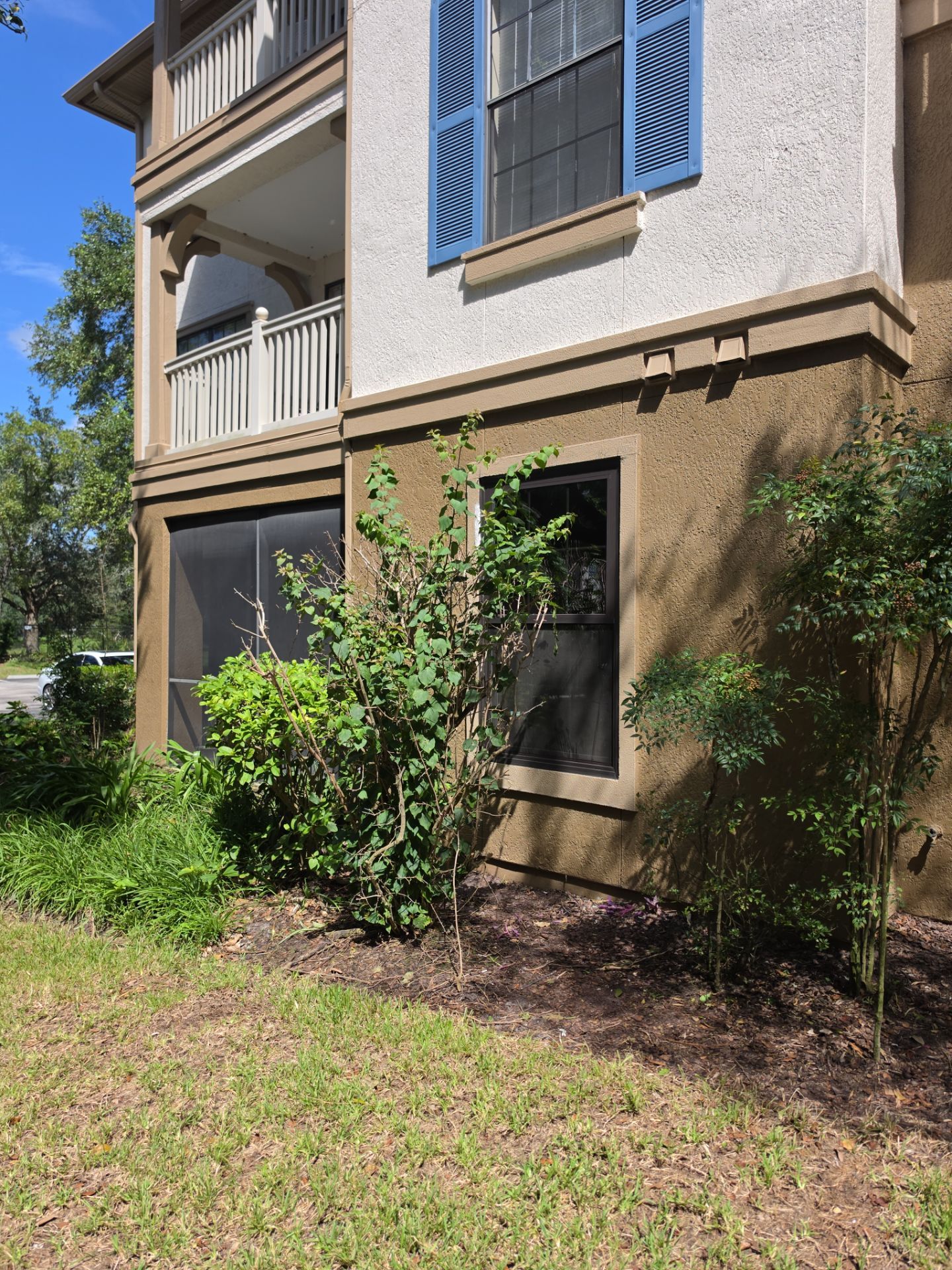 Andersen Window Replacement and Installation in Jacksonville, Florida by Windows & Doors Store