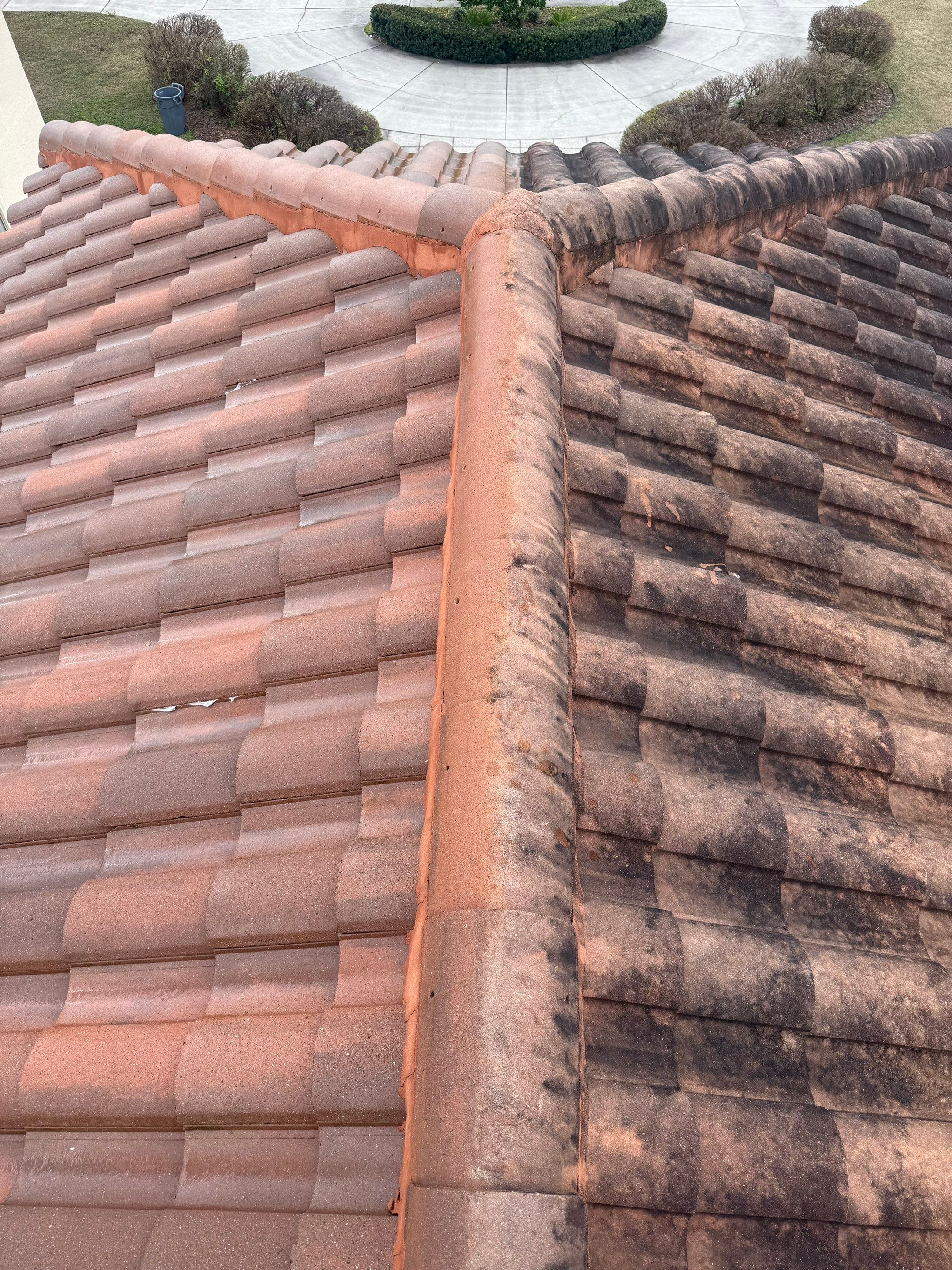 Roof and Exterior Cleaning at Ocala Family Compound by Infinite Exteriors LLC