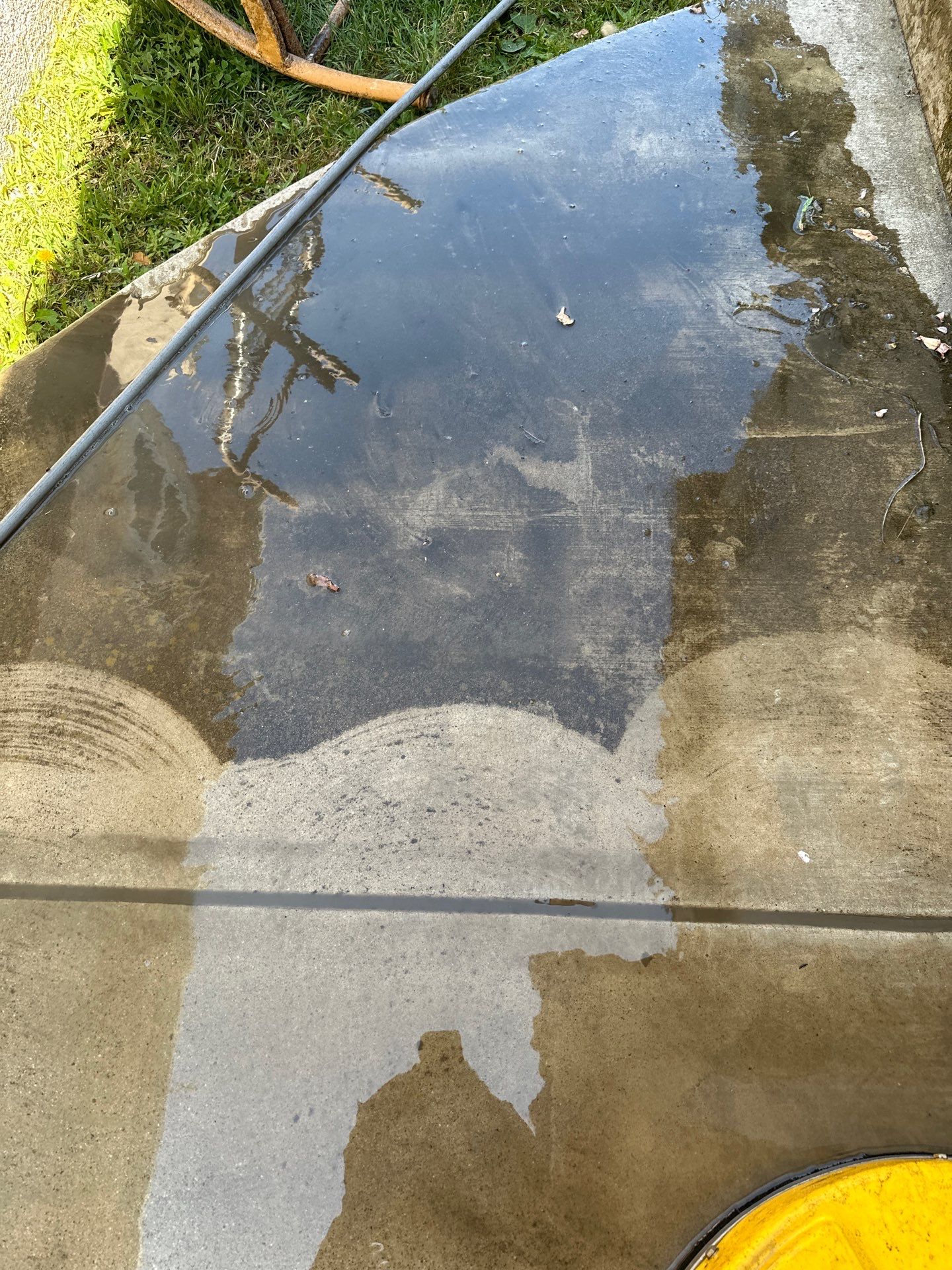 This home was COVERED in growth by Property Cleaning Experts, LLC
