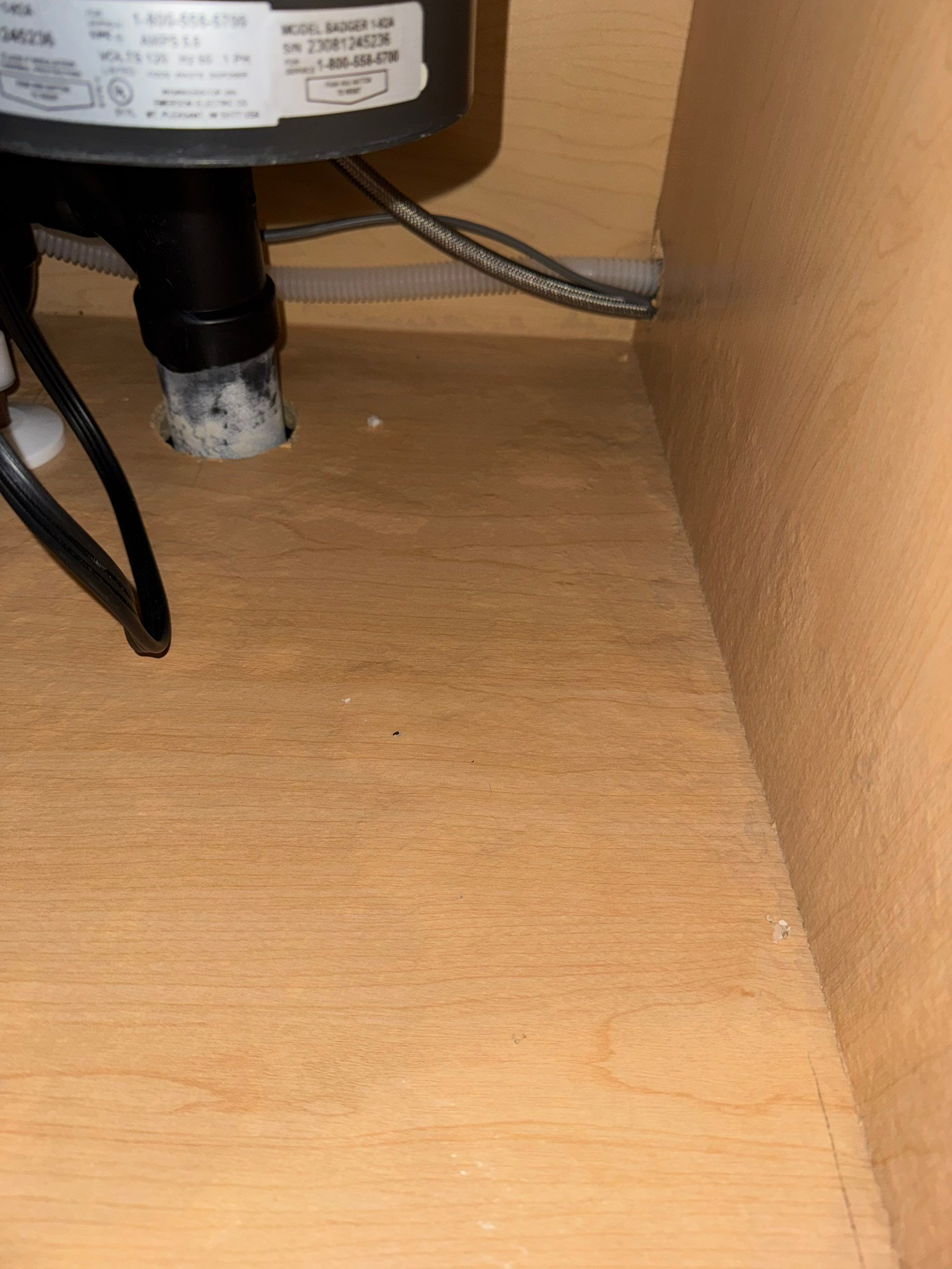 Water Damage in Aurora, CO by Alpha Restoration 