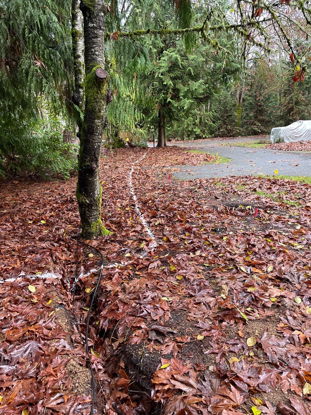 Asphalt Driveway Repair | Woodinville  by Jireh Asphalt & Concrete Inc 