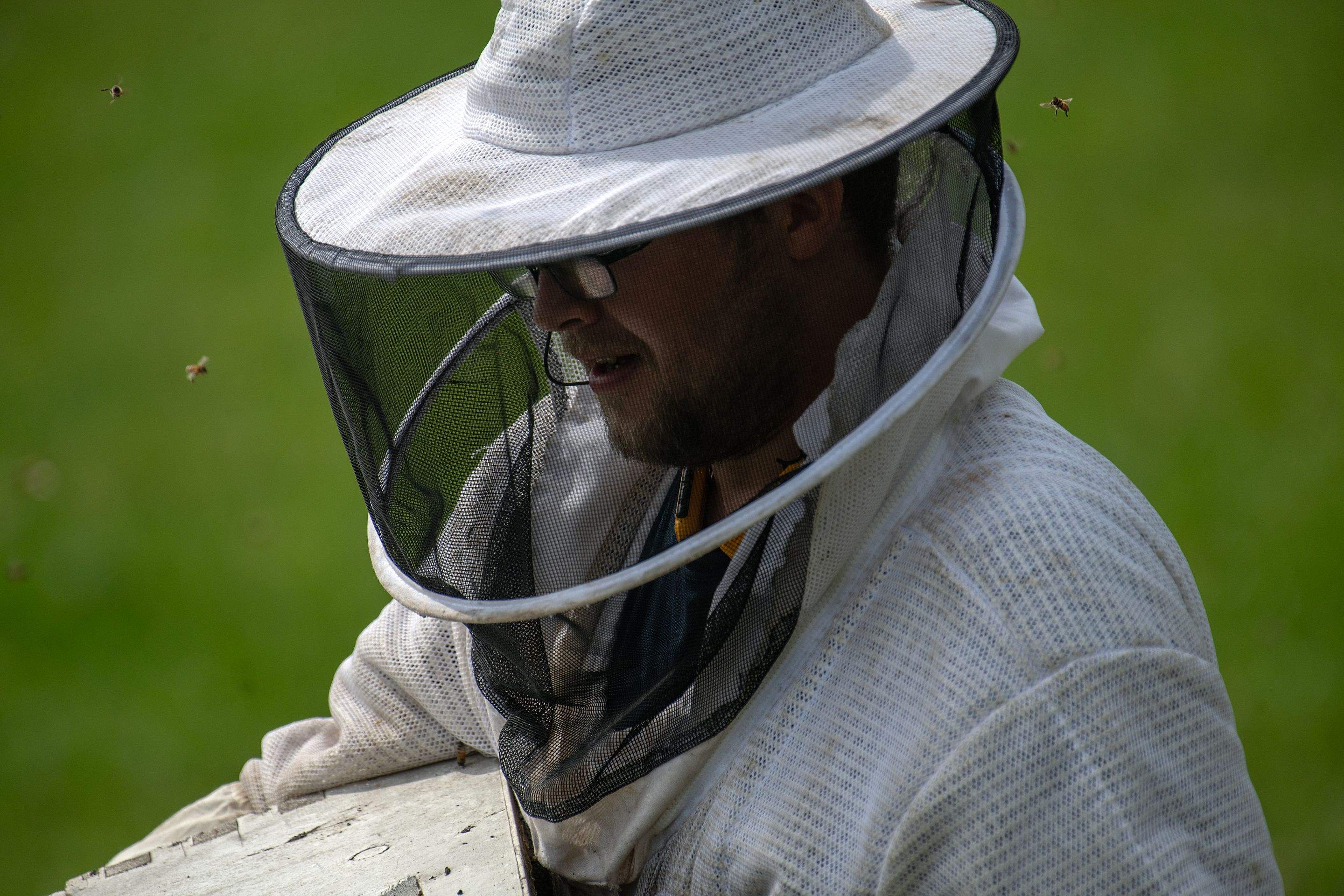 Splits in East Texas by Rockwall Honey Bee Company