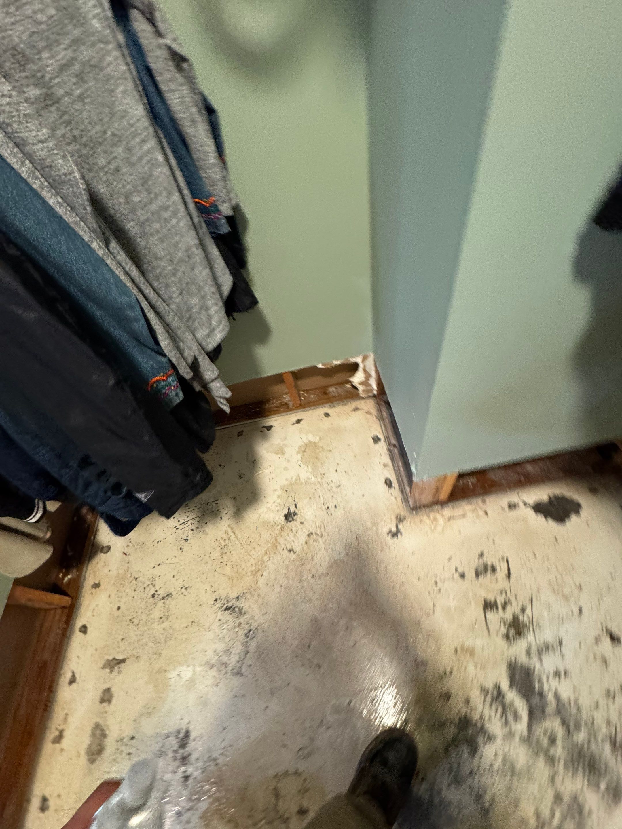 Mitigation and Repairs Project by ANR Restoration