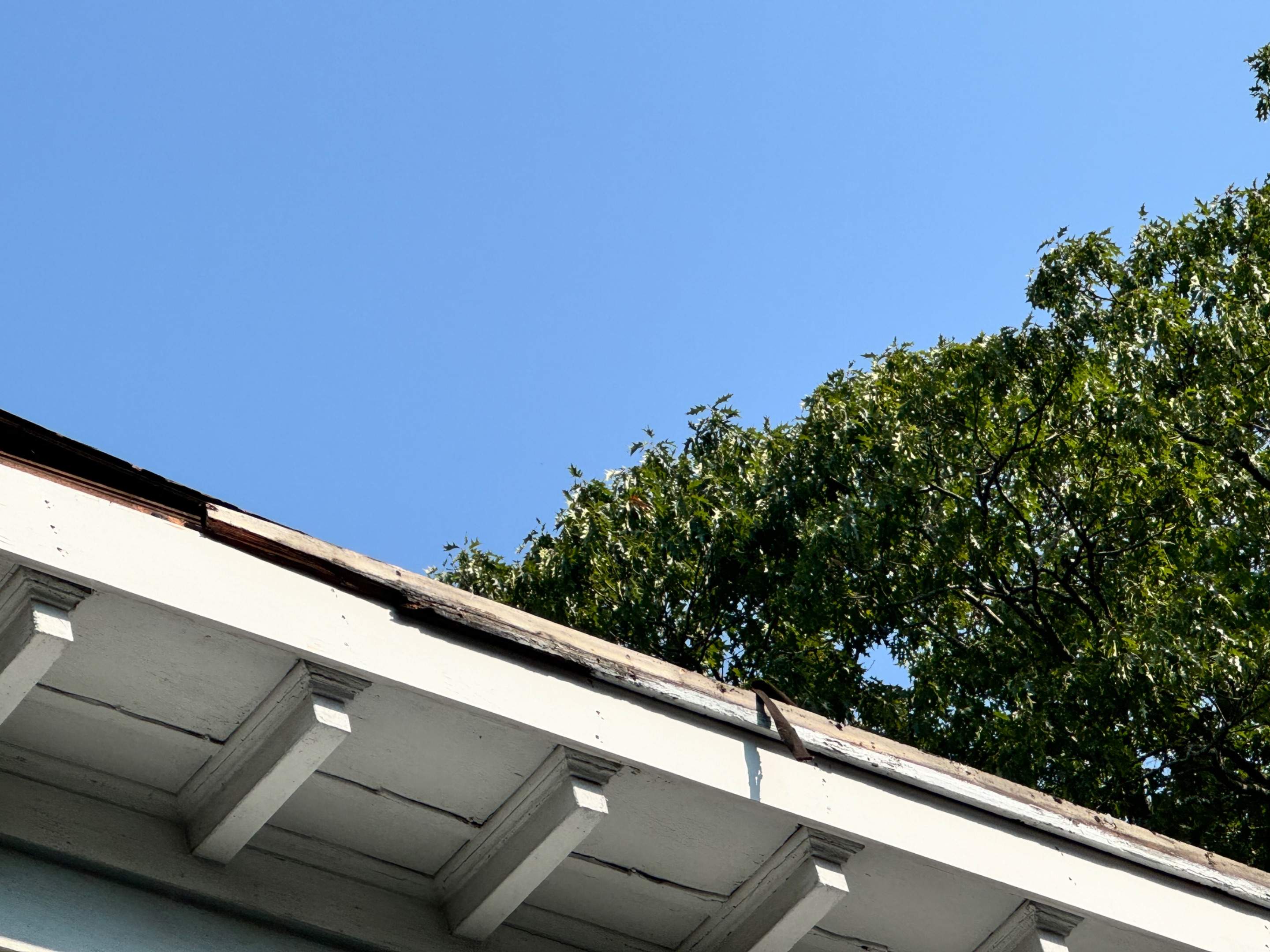Tyee Roofing Replacement  by Tyee Construction Corp