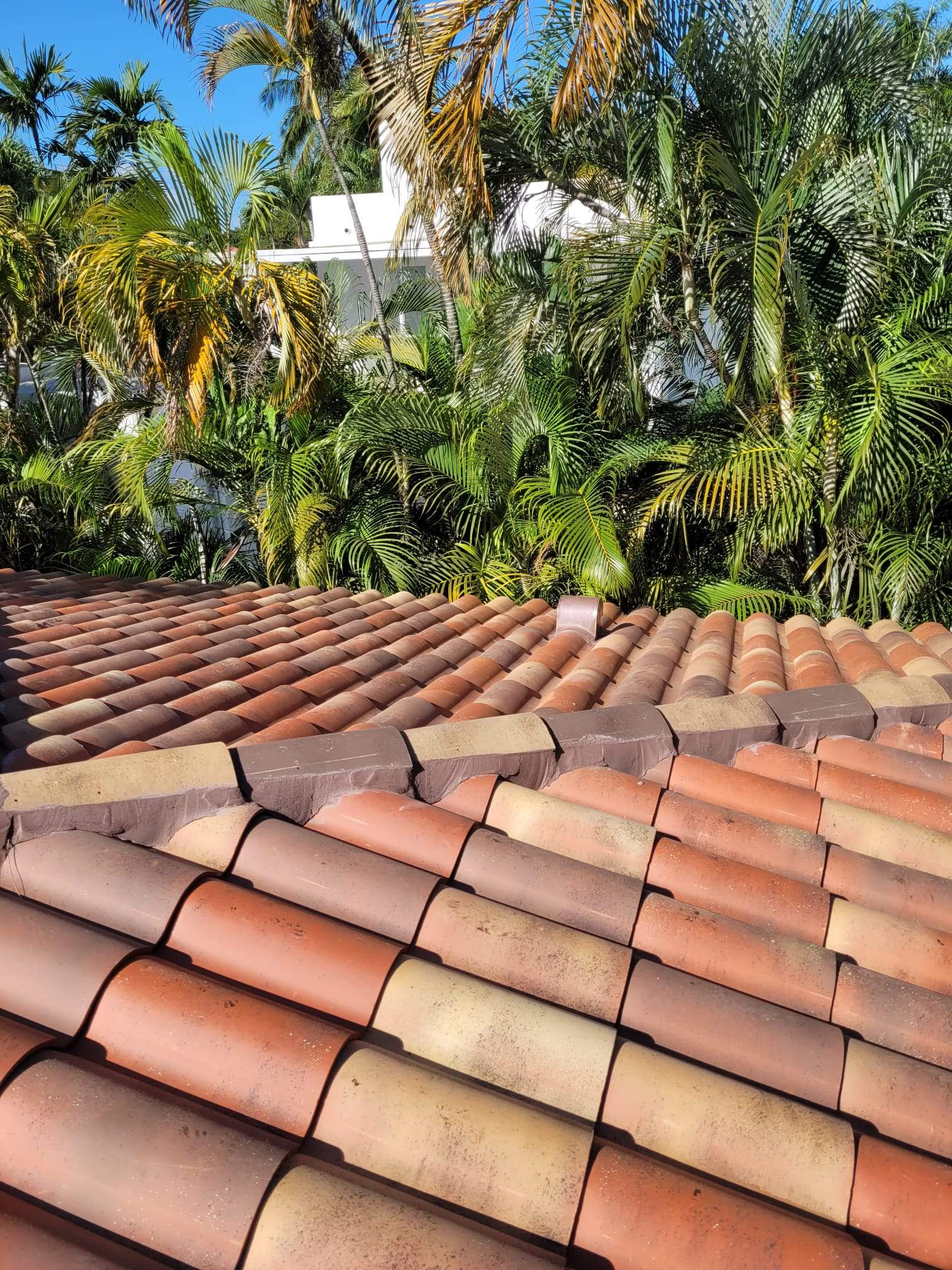 Verea - Spanish S - Jacobea by Istueta Roofing