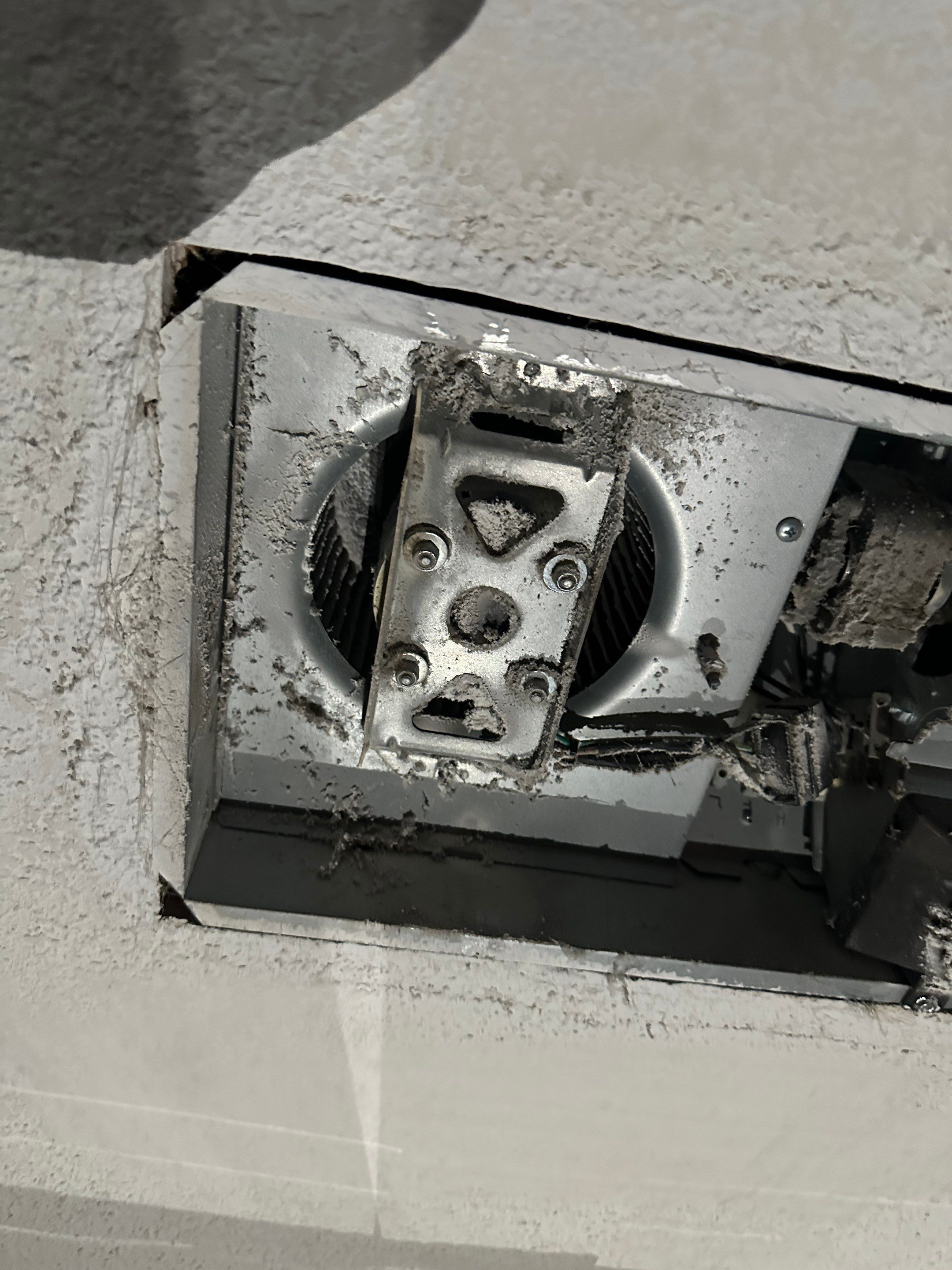 Bathroom Mold Remediation by Home Guarantee, LLC