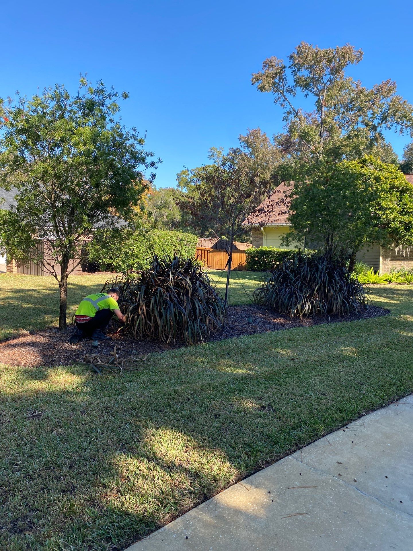 Deerwood Resident | Extreme Clean Up by ProGreen Services