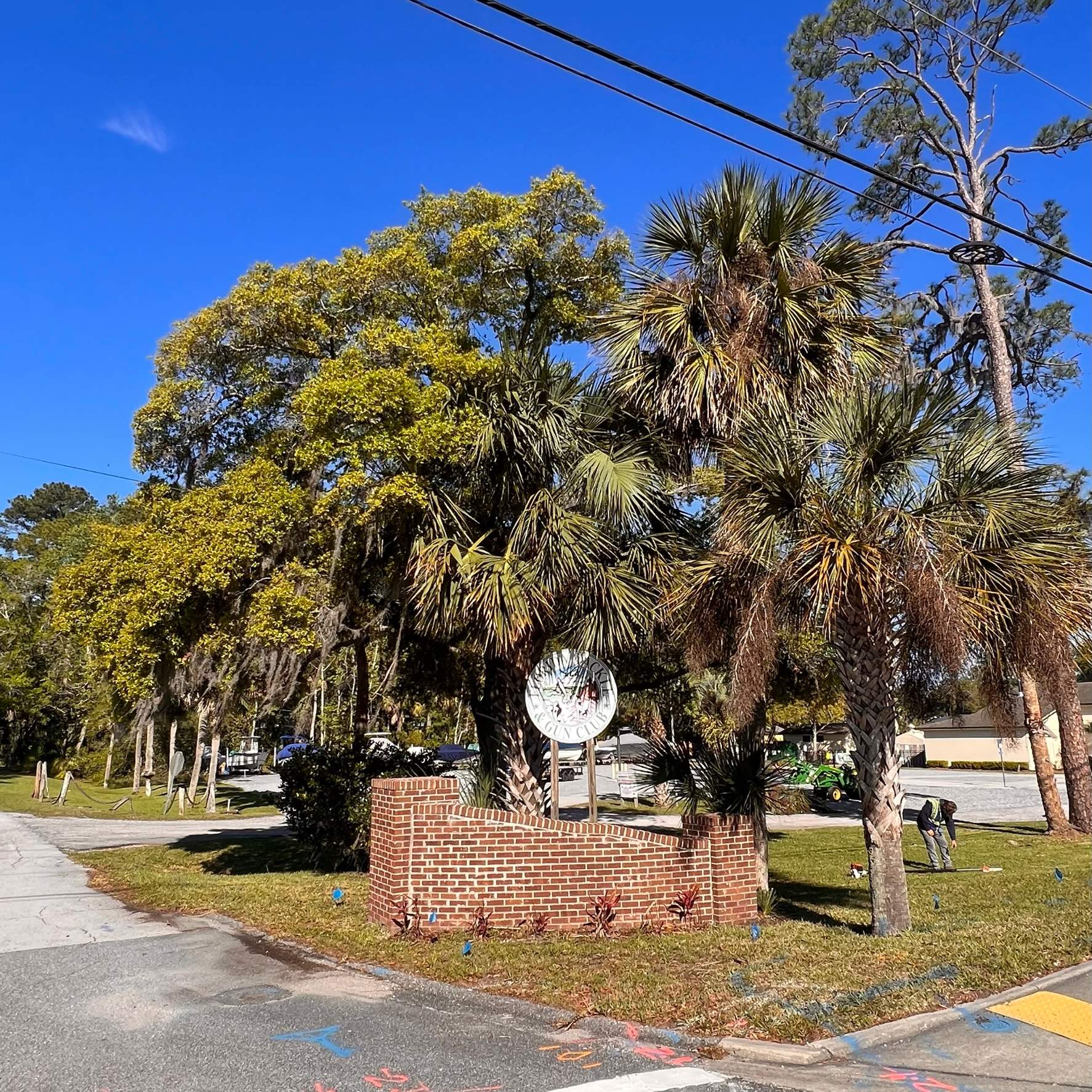 Tree Work | Florida Gun & Tackle by ProGreen Services