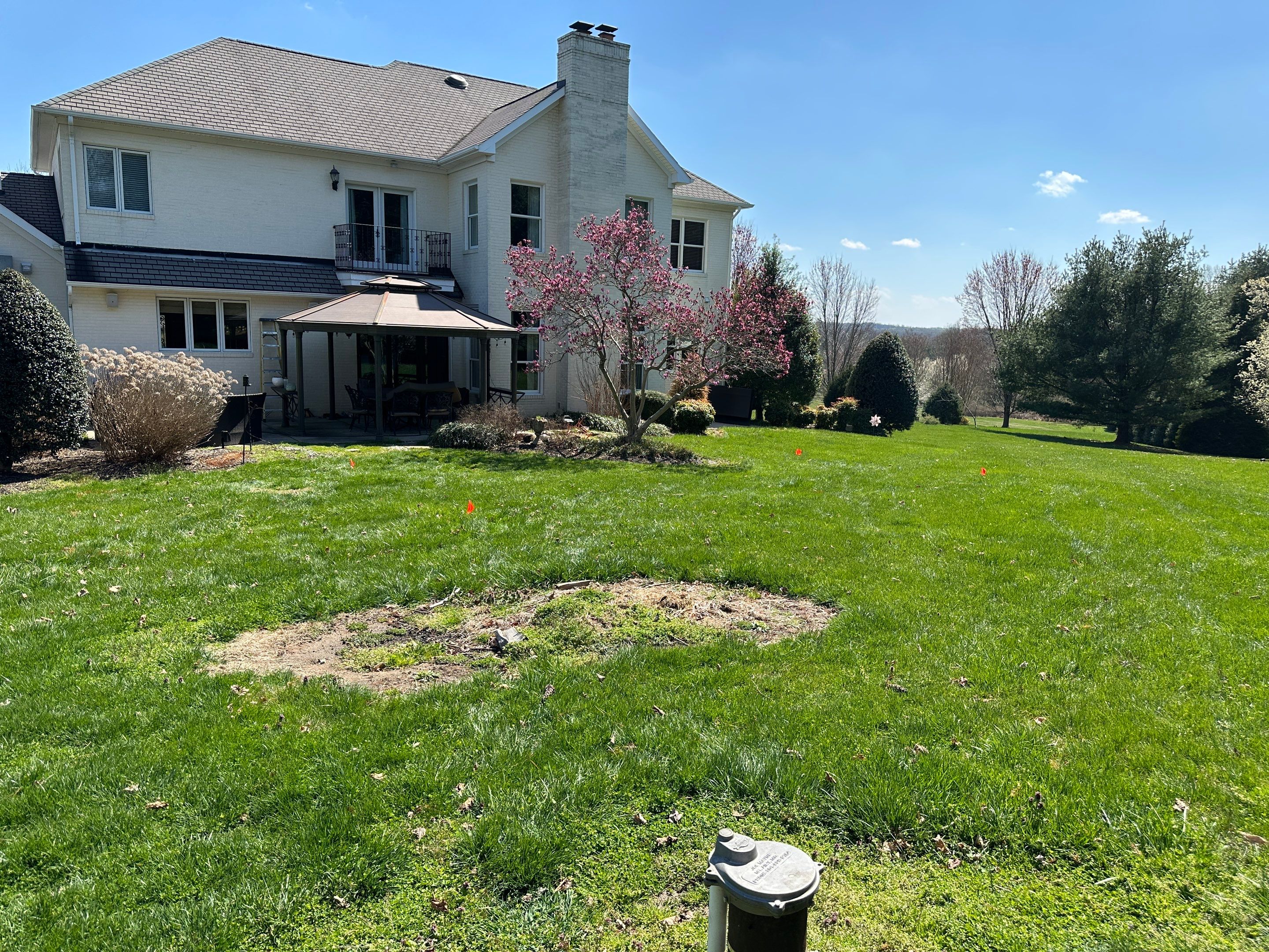 Gunite Pool and Spa with Autocover by Elysium Pools