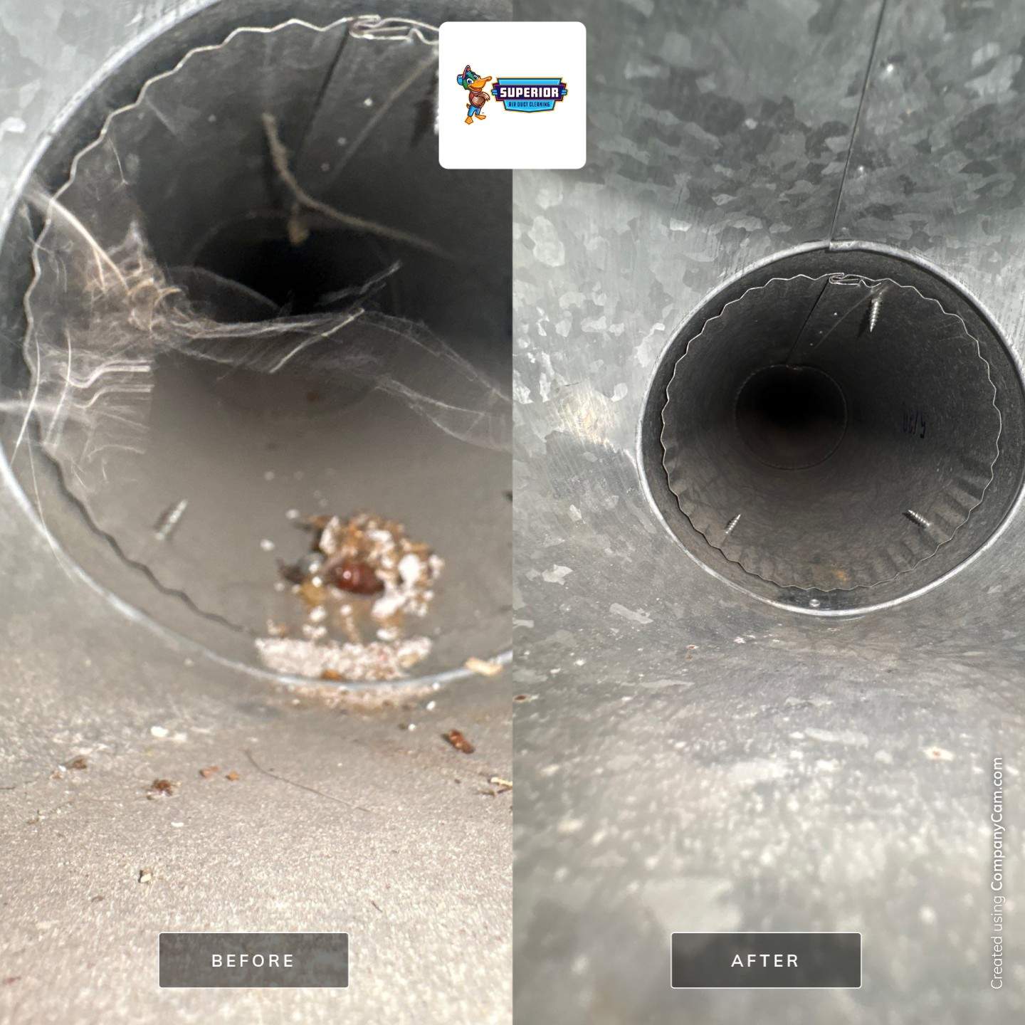 Air Duct Cleaning With a Vacuum Truck in Meridan, PA by Superior Air Duct Cleaning