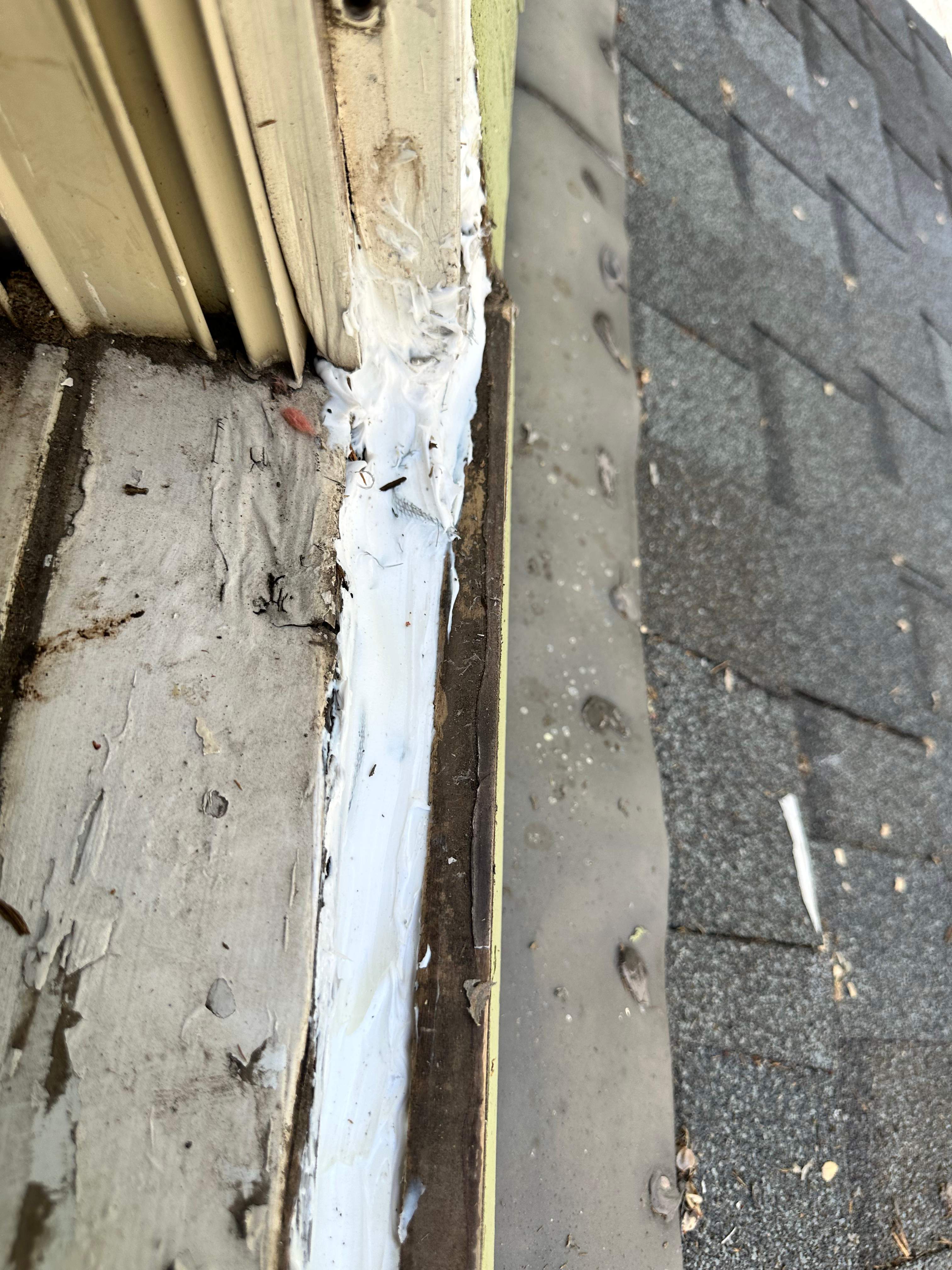 Yellowjackets in Bedroom by Rockwall Honey Bee Company