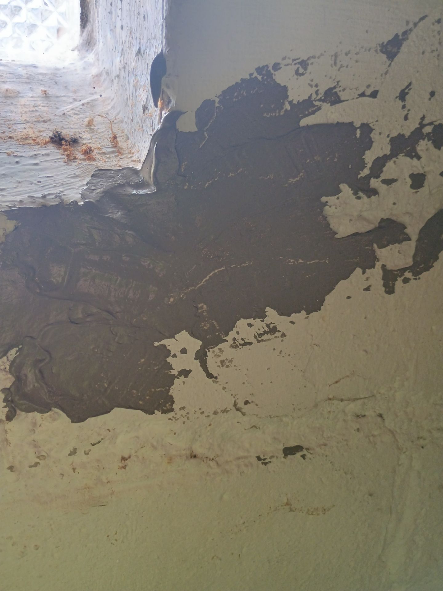 Updating Taylor's Waterproofing System by Waterproofing Northeast