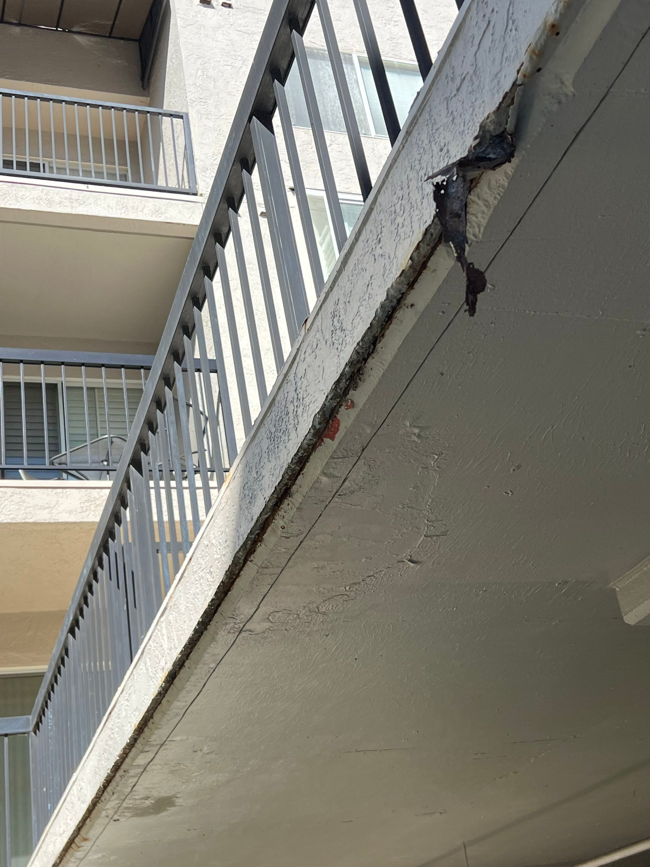 Breezeway Edge Replacement by Anza Builders, Inc. 