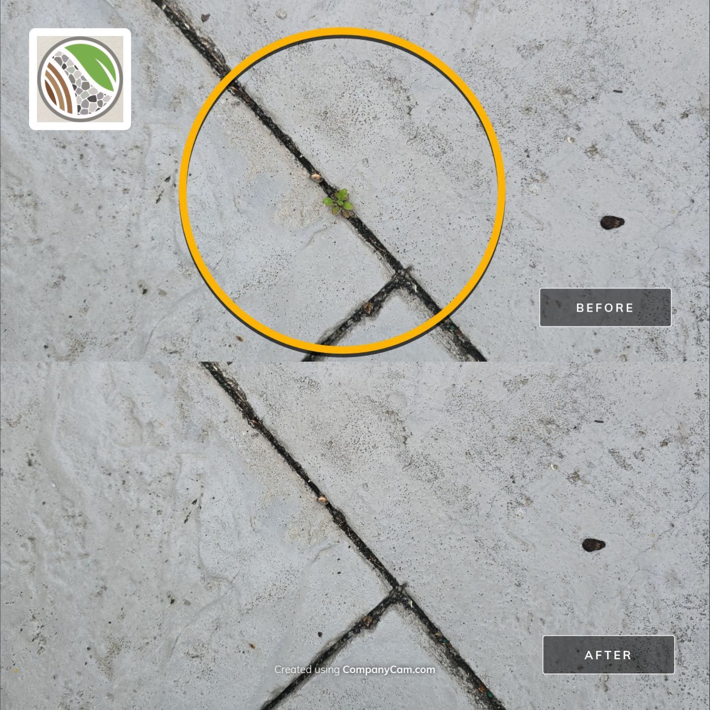 BTC Custom Landscapes & Outdoor Spaces featured photo.