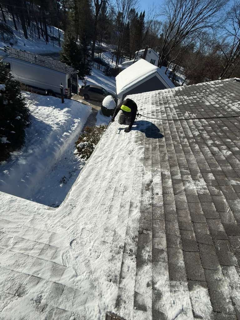 Sow Removal by Mighty Dog Roofing of Greater Middlesex County