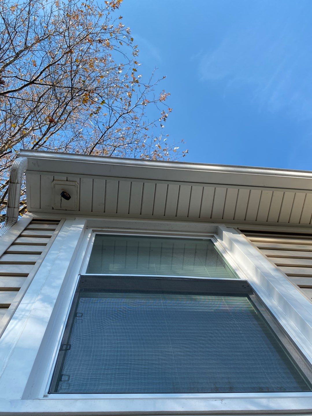 Josh Davis by Silver Leaf Contracting 