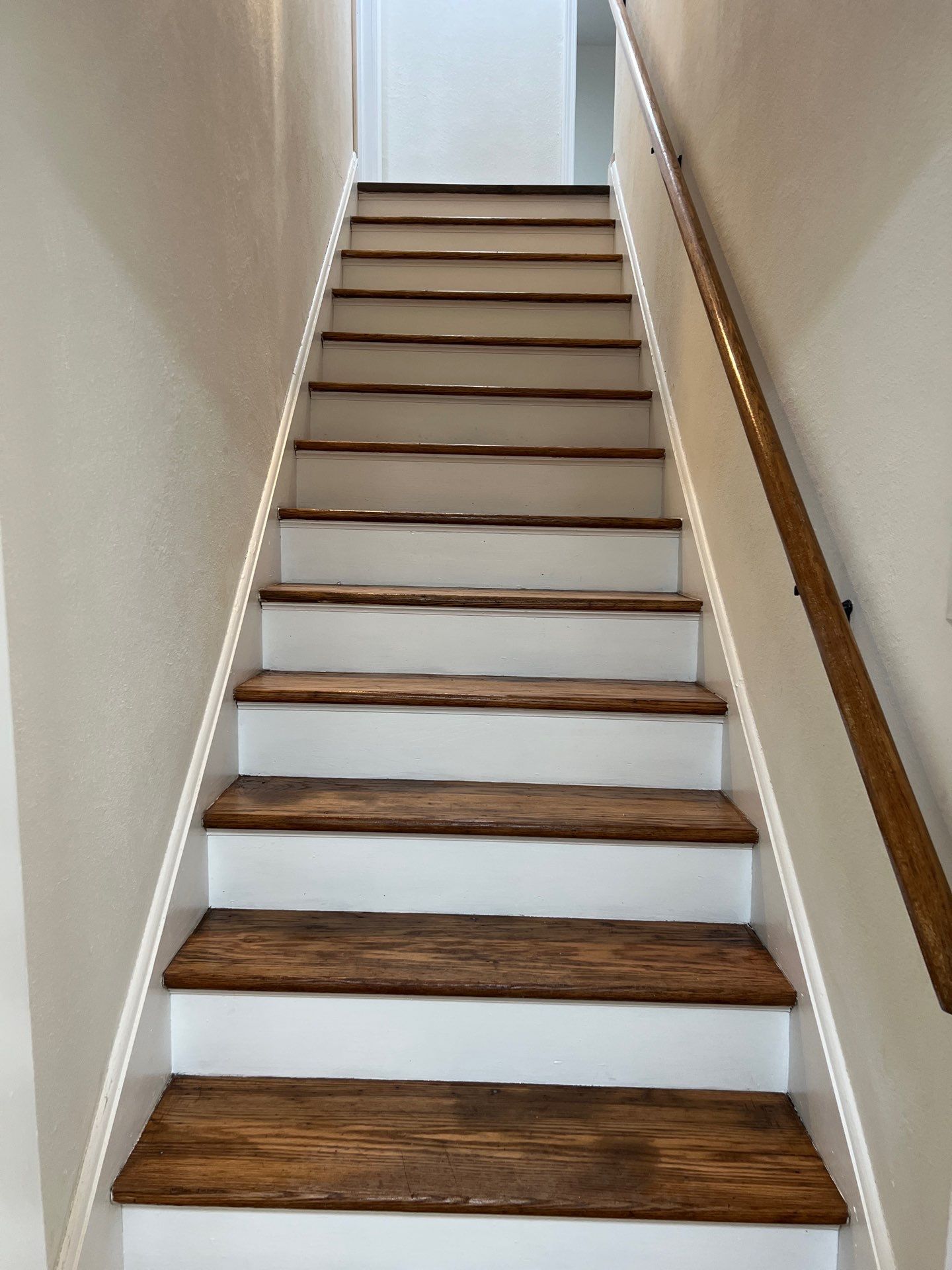 511 Rosemont Ave, South Chalreston by MAJO