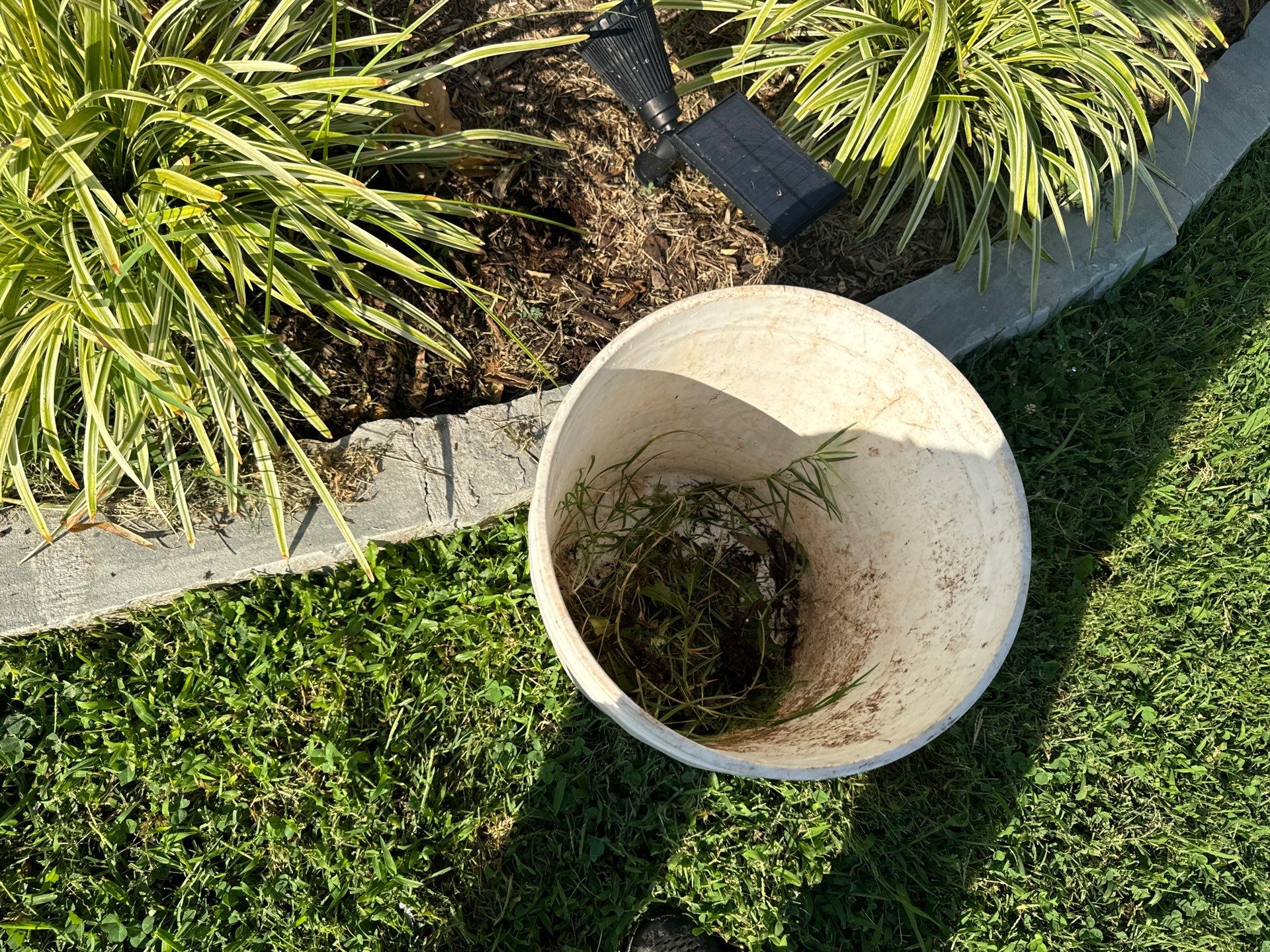 Landscape using Crepe Myrtle Plant by Clays Services Inc