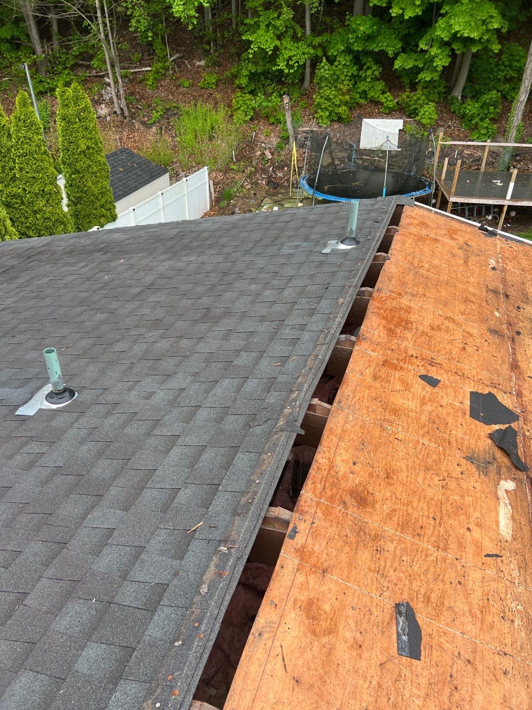 Silver Birch Shingles by Reimagine Roofing