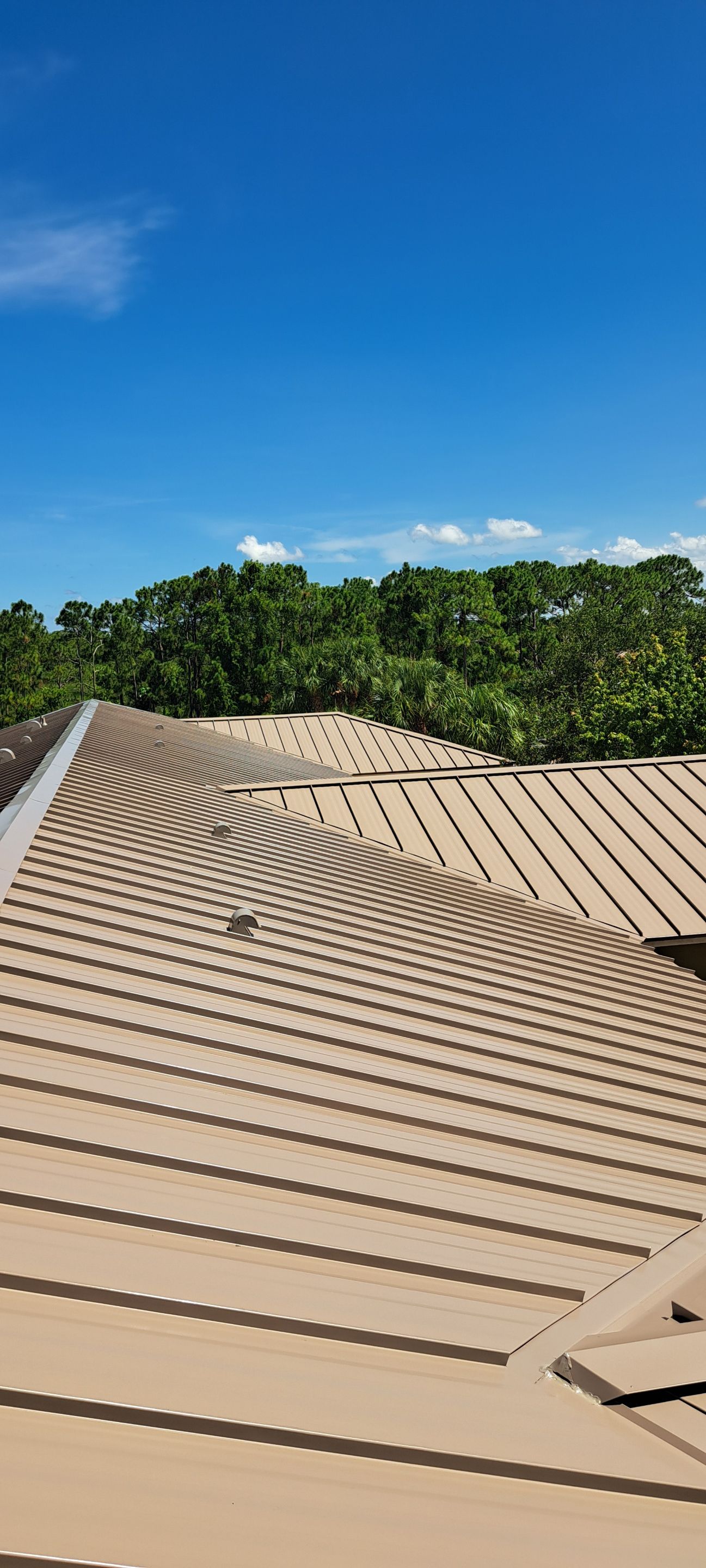 24ga 1.5" Mechanical Seam Buckskin  by Total Roofing System The Metal Roof Experts