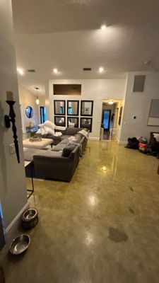 Wellington Water Damage Restoration with Thermal Imaging and Extraction