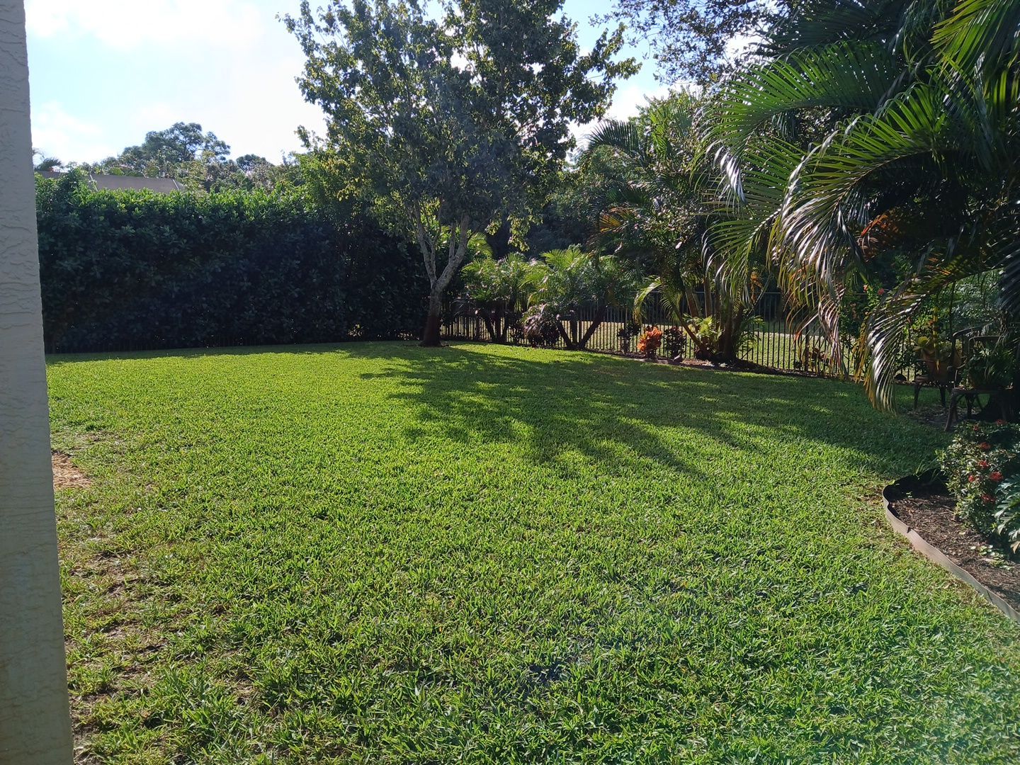 🌿✨ “Snip, Tip & Total Plant Care Bliss” in Palm City ✨🌿 by Alpha Zeta Enterprises Inc