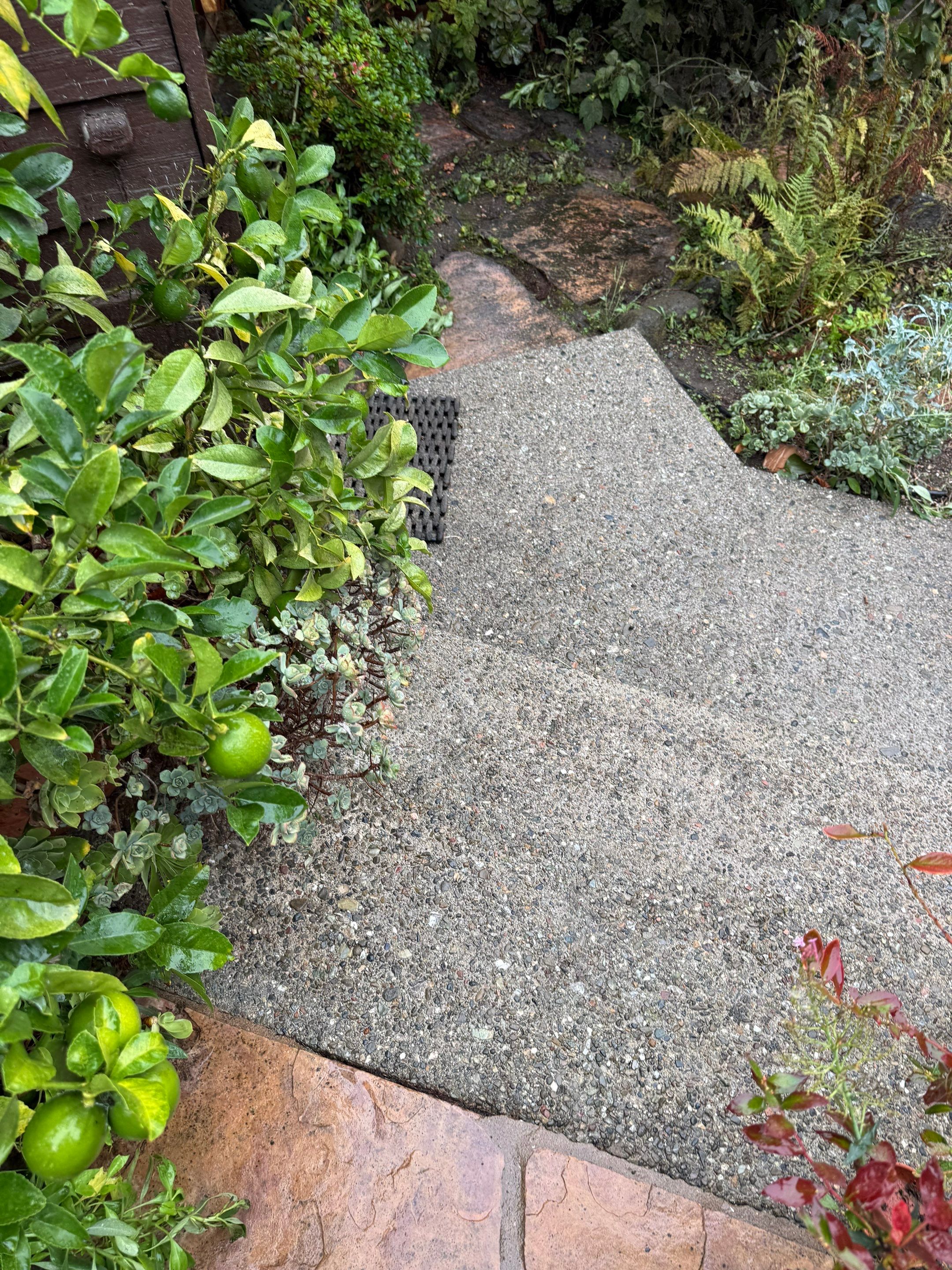 Full back garden refresh by SpotFree Window Cleaning