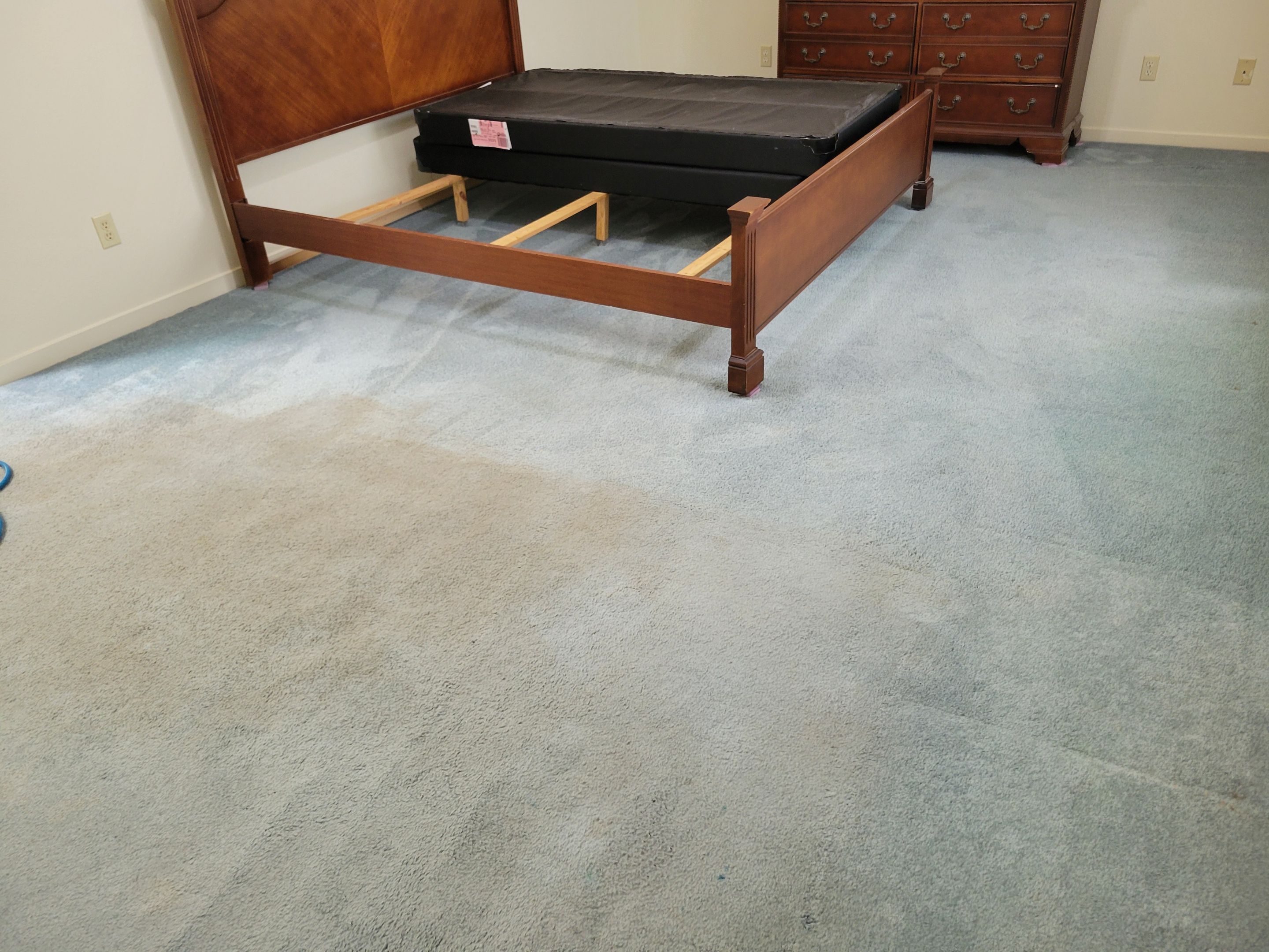 Overdue, Much Needed Carpet Clean by Ardent Carpet Restore LLC