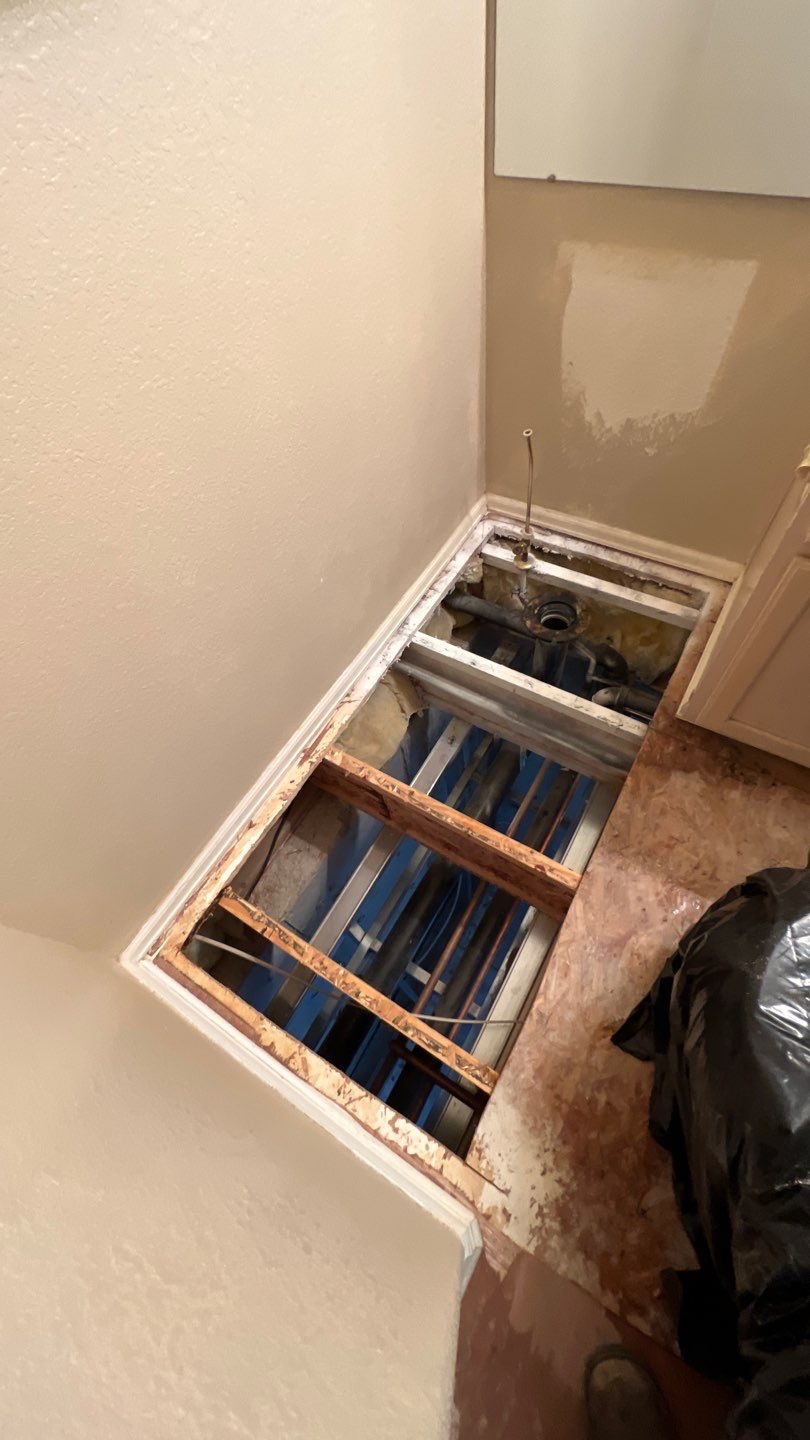 Mold Remediation by Accountable Home Services