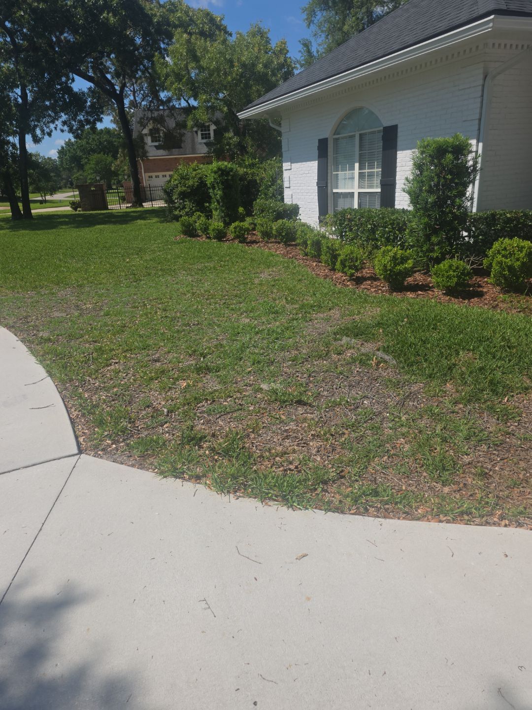 Deerwood Resident | Landscaping & Sod by ProGreen Services