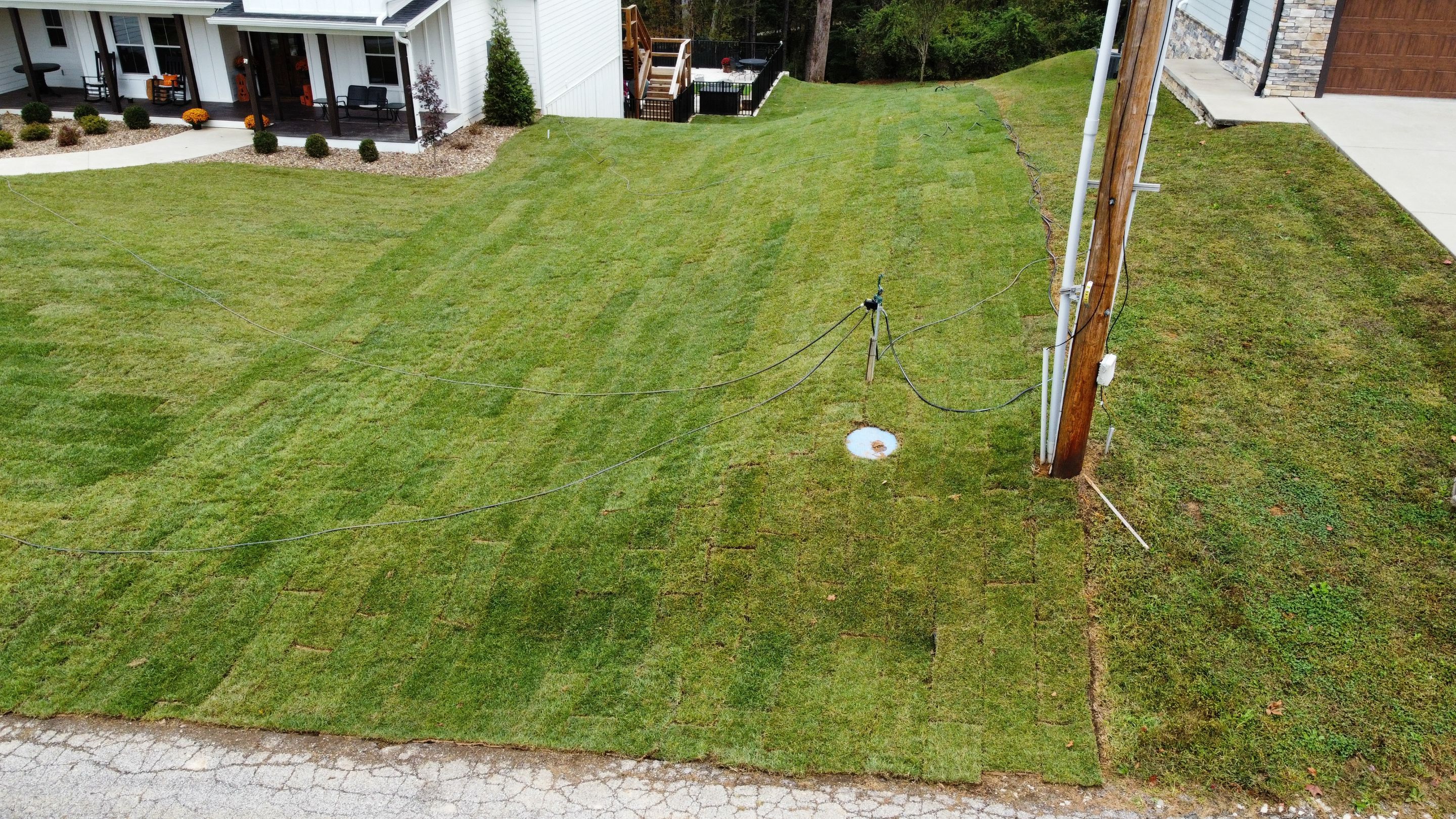 Sod Installation using Fescue Sod by GrassBusters, Inc.