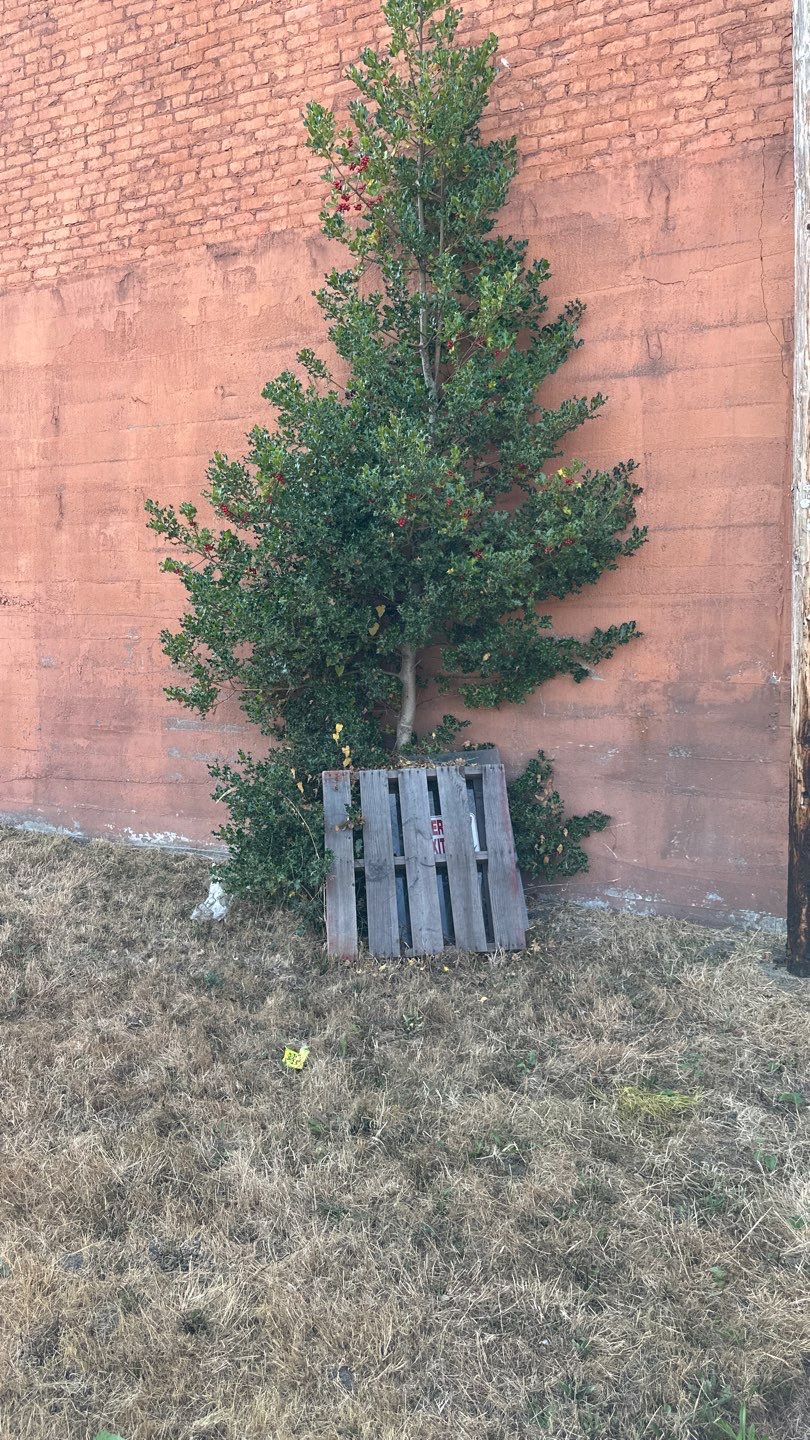 Brian | Driveway Asphalt, Asphalt Project  by Jireh Asphalt & Concrete Inc 