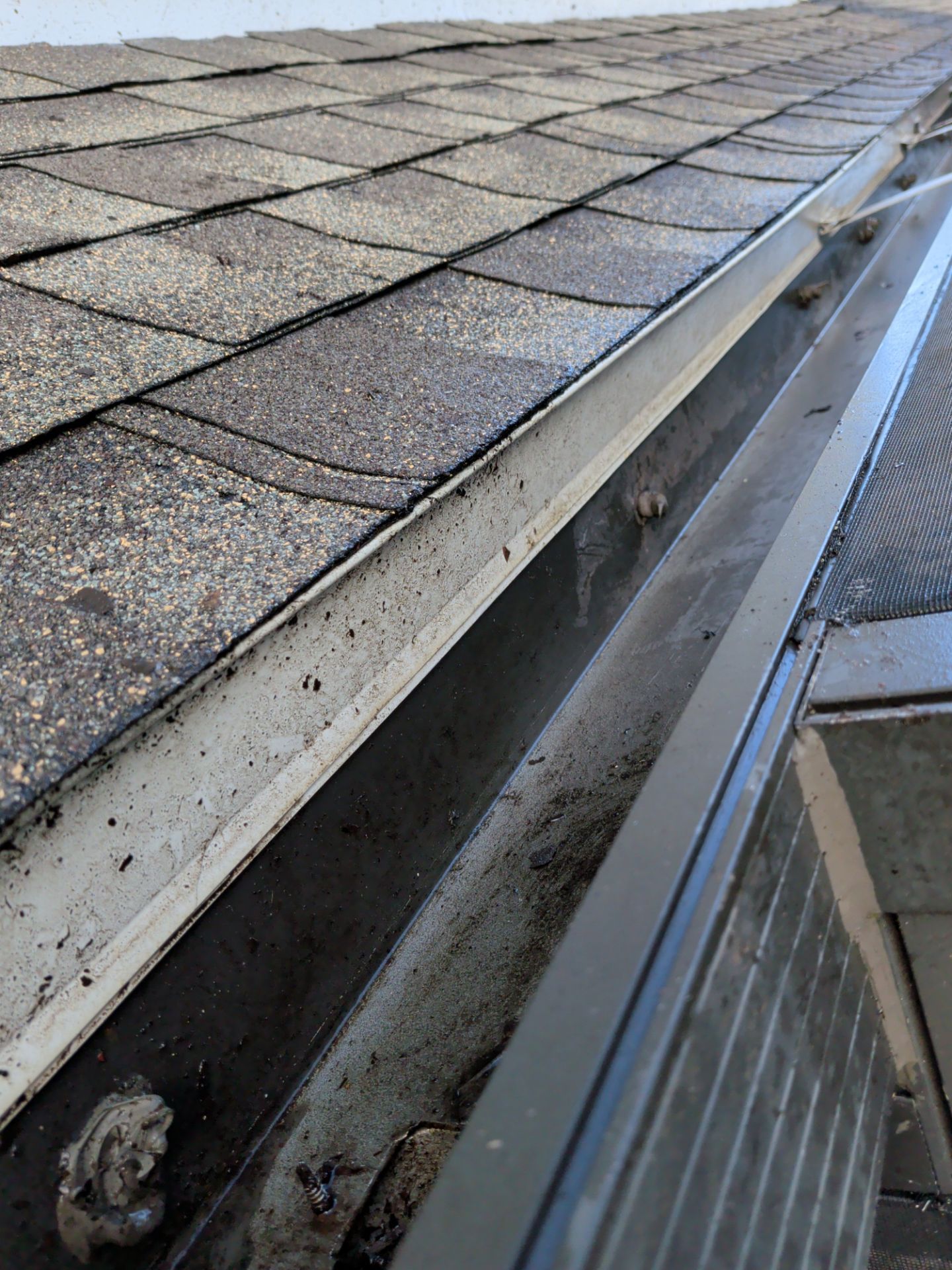 Gutter Cleaning & Debris Removal — Oceanway (Northside Jacksonville) by Harmoni Home Services