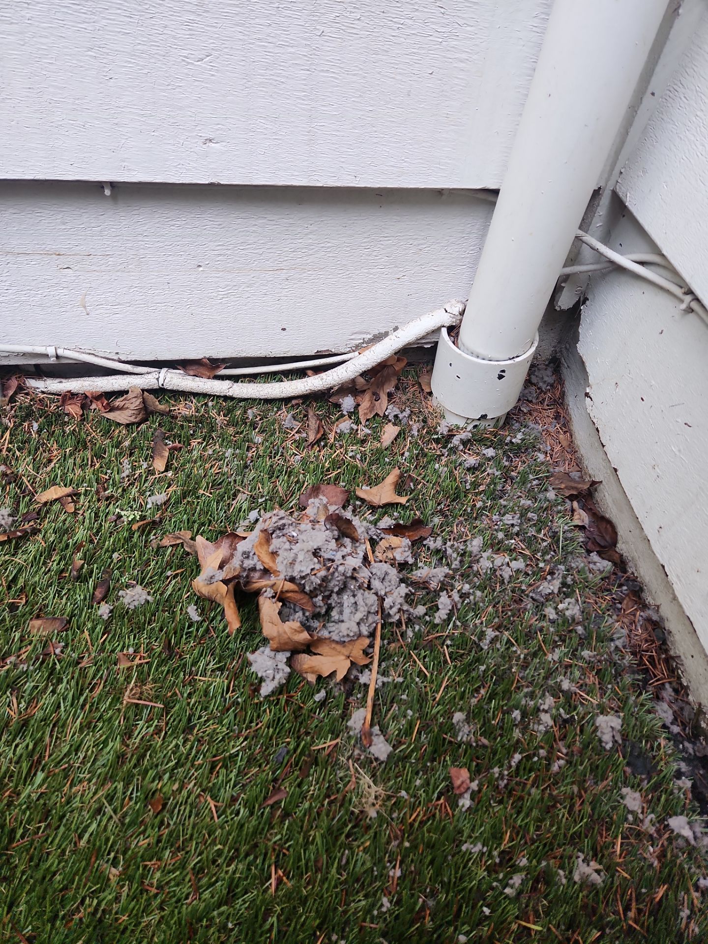 Clogged Dryer Vent Cleaning Project in Lake Oswego by Cloud 9 Professional Cleaning Services