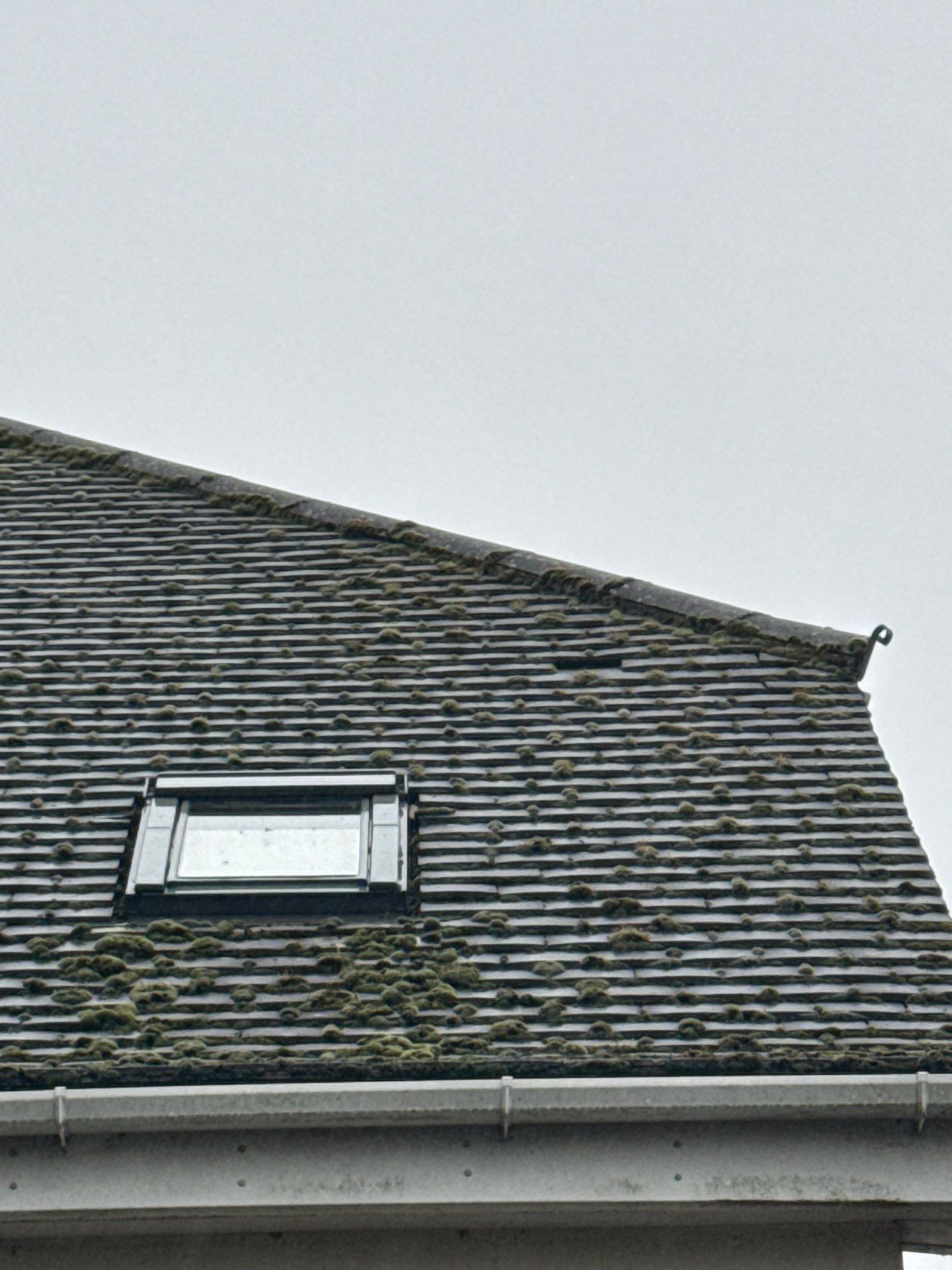 Commercial Roof Clean -Block Of Flats using Honda 15lpm Low Pressure Washing Machine by Ges Exterior Cleaning ltd