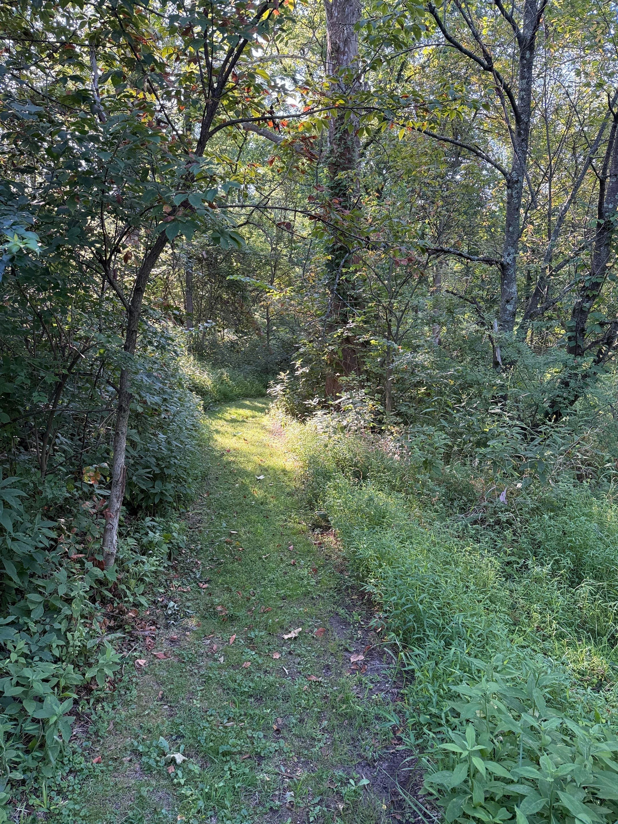 Baldwin Creek Project by Elm Rose Gardens