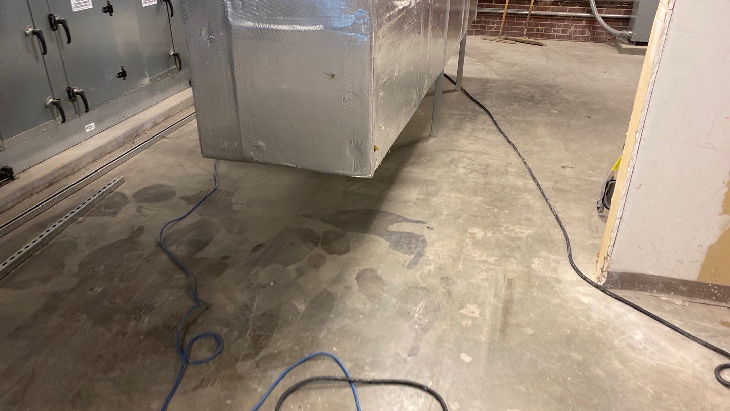 Basement using Mount Everest by Select Painting, Coatings & Garage Cabinets