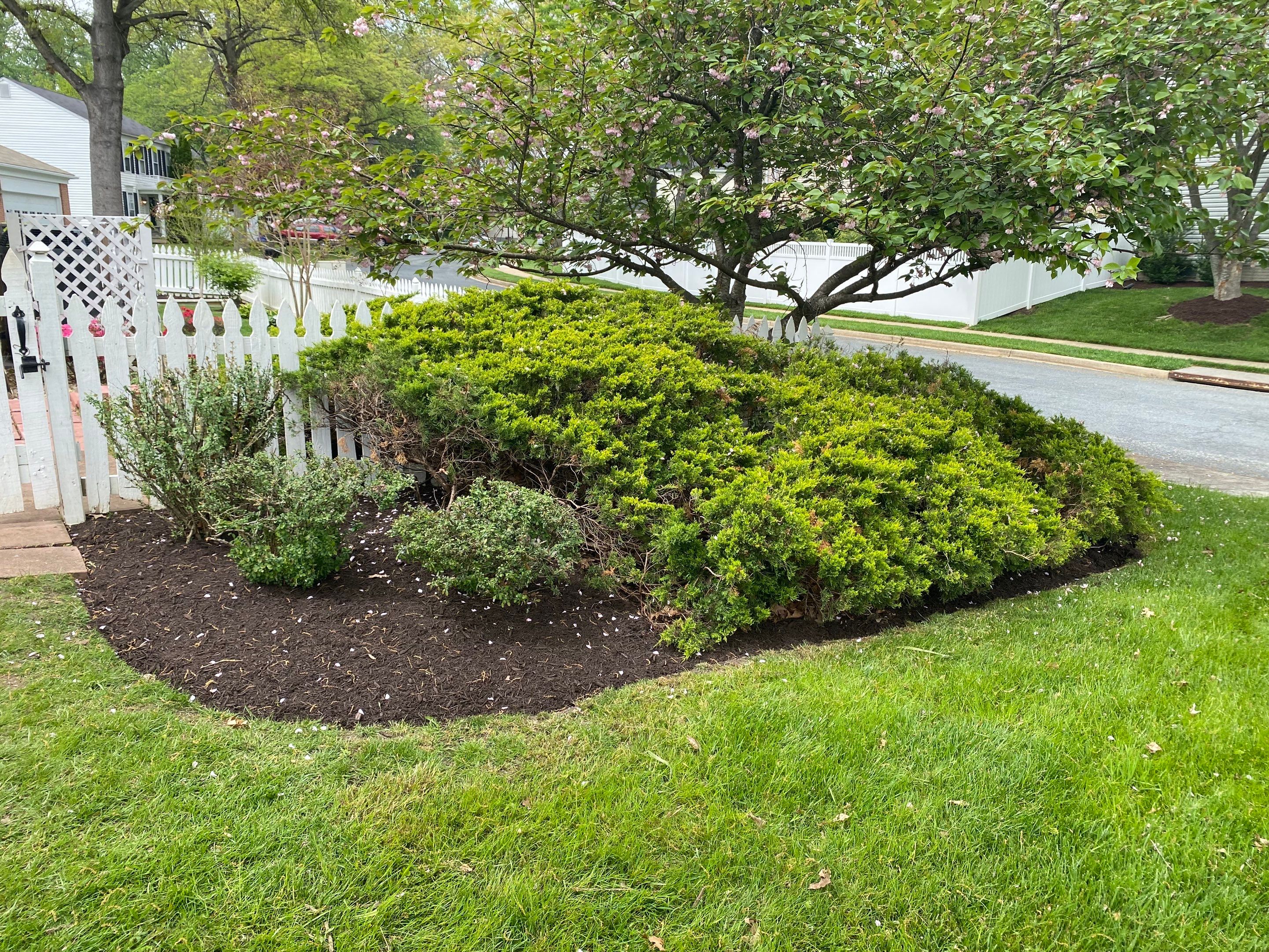 Landscape Design and Cleanup by The Smet Companies, LLC