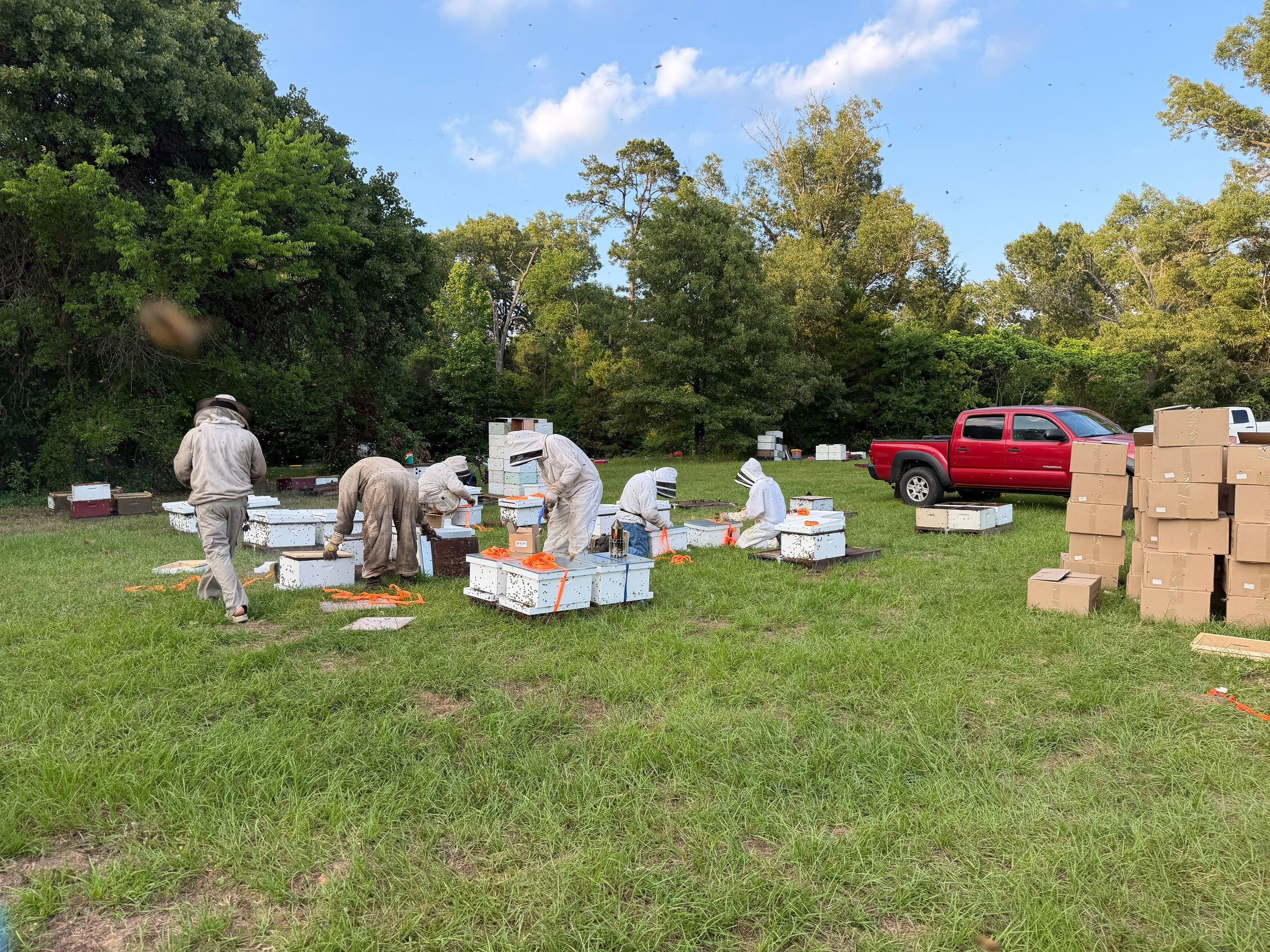 45 colonies in three apiaries by Rockwall Honey Bee Company
