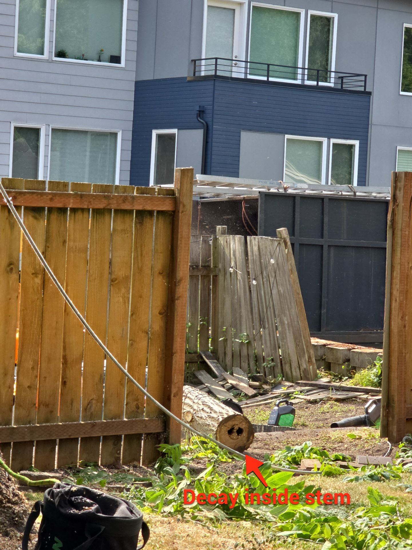 Seattle Hazard Tree Removal by Sound Tree Care LLC