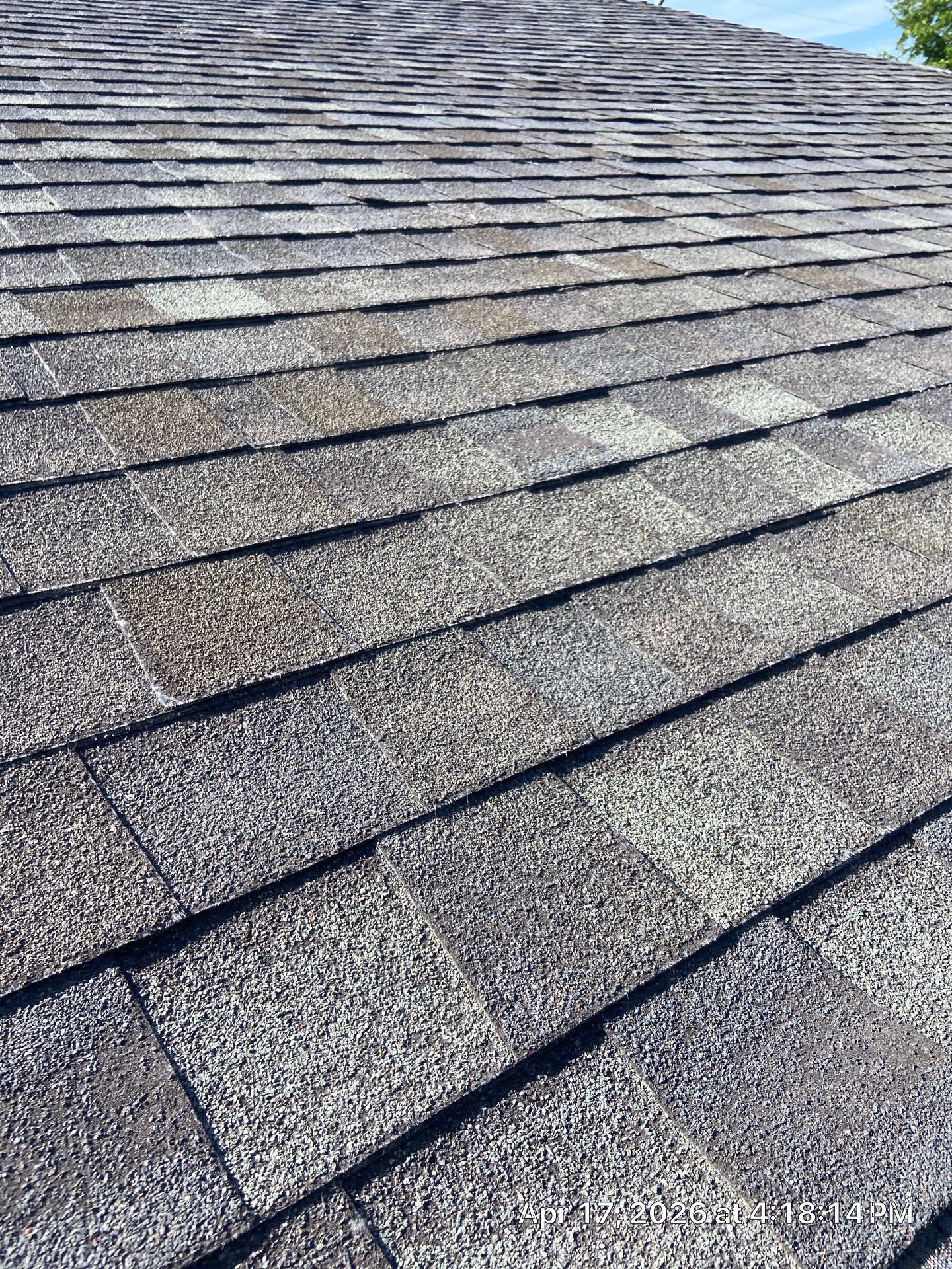Roof Rejuvenation using Roof Maxx Treatment by Roof Maxx of Folsom